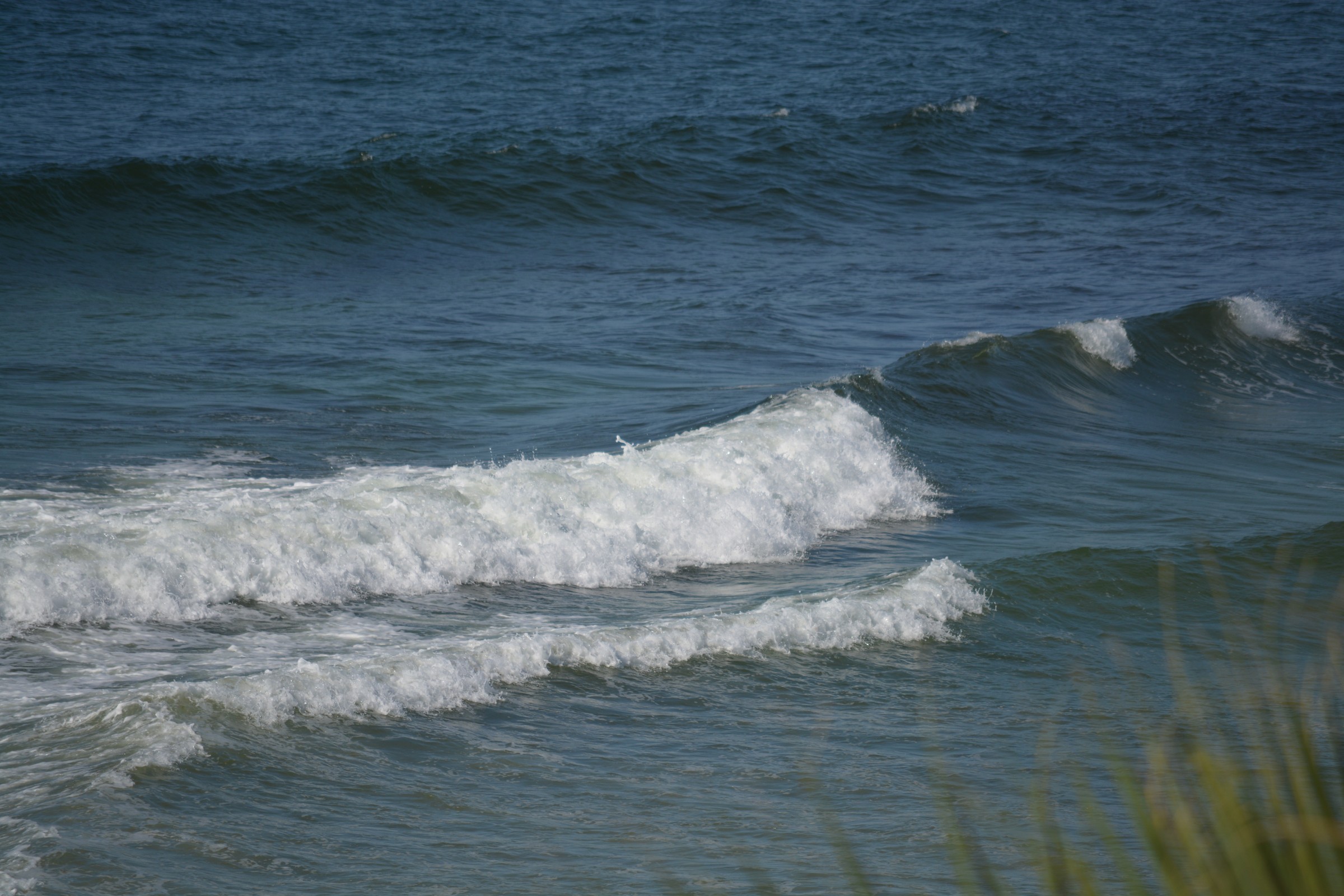 DSC_0207.JPG