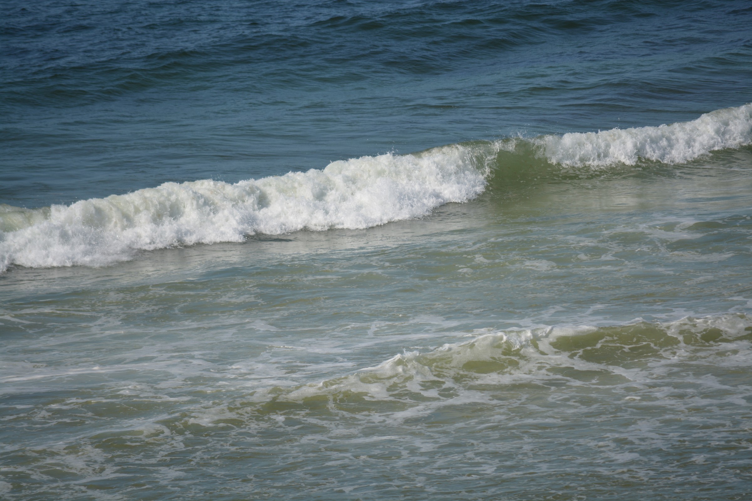 DSC_0208.JPG