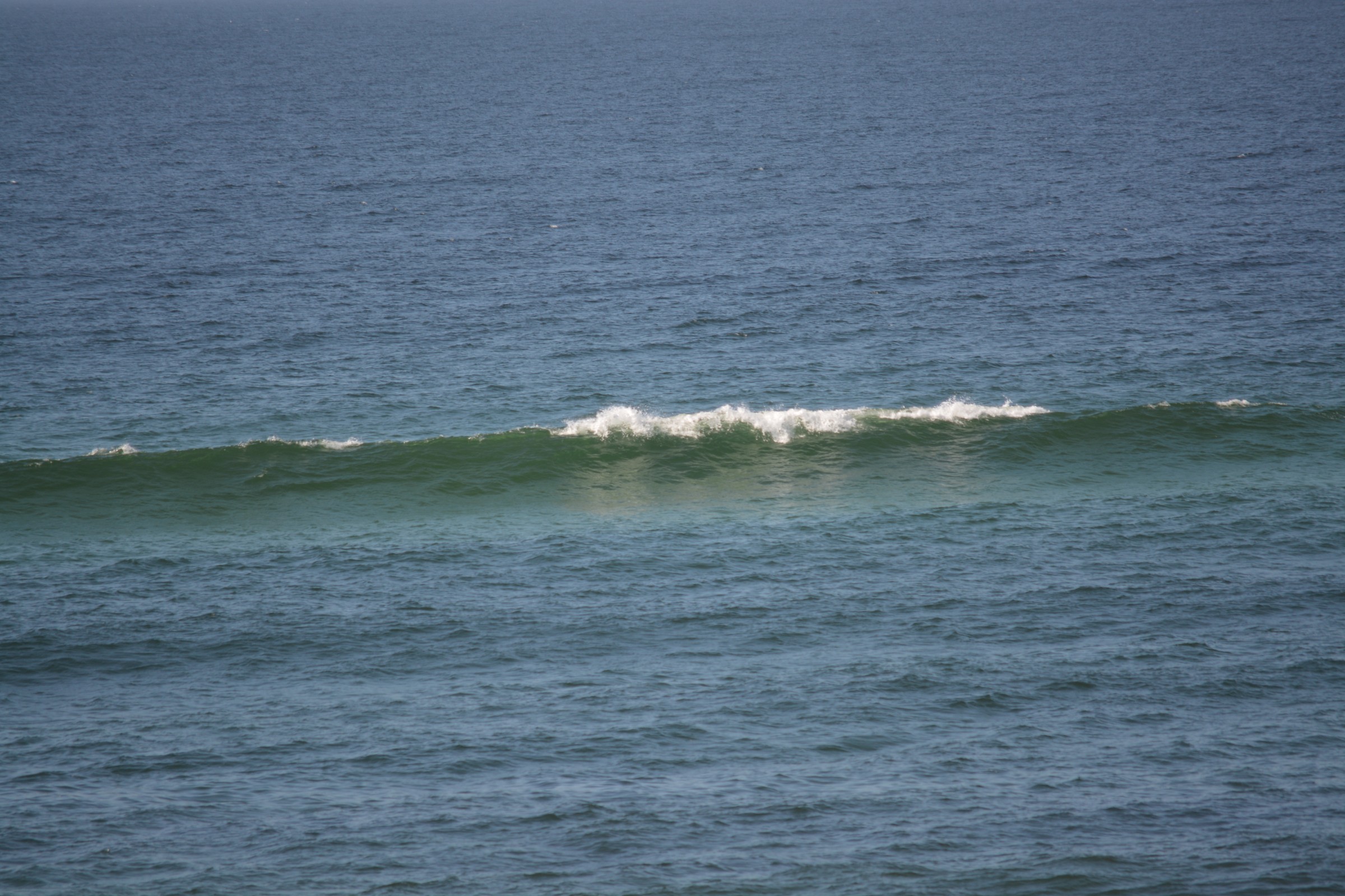 DSC_0209.JPG