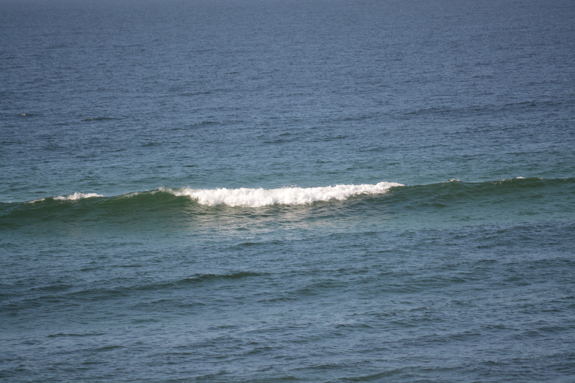 DSC_0210.JPG