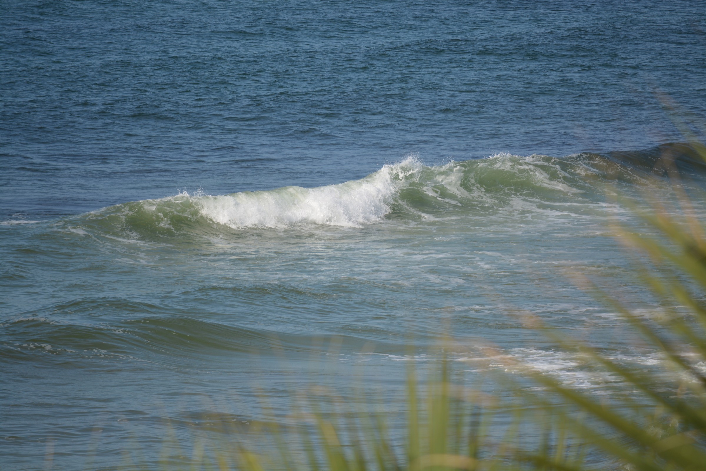 DSC_0212.JPG