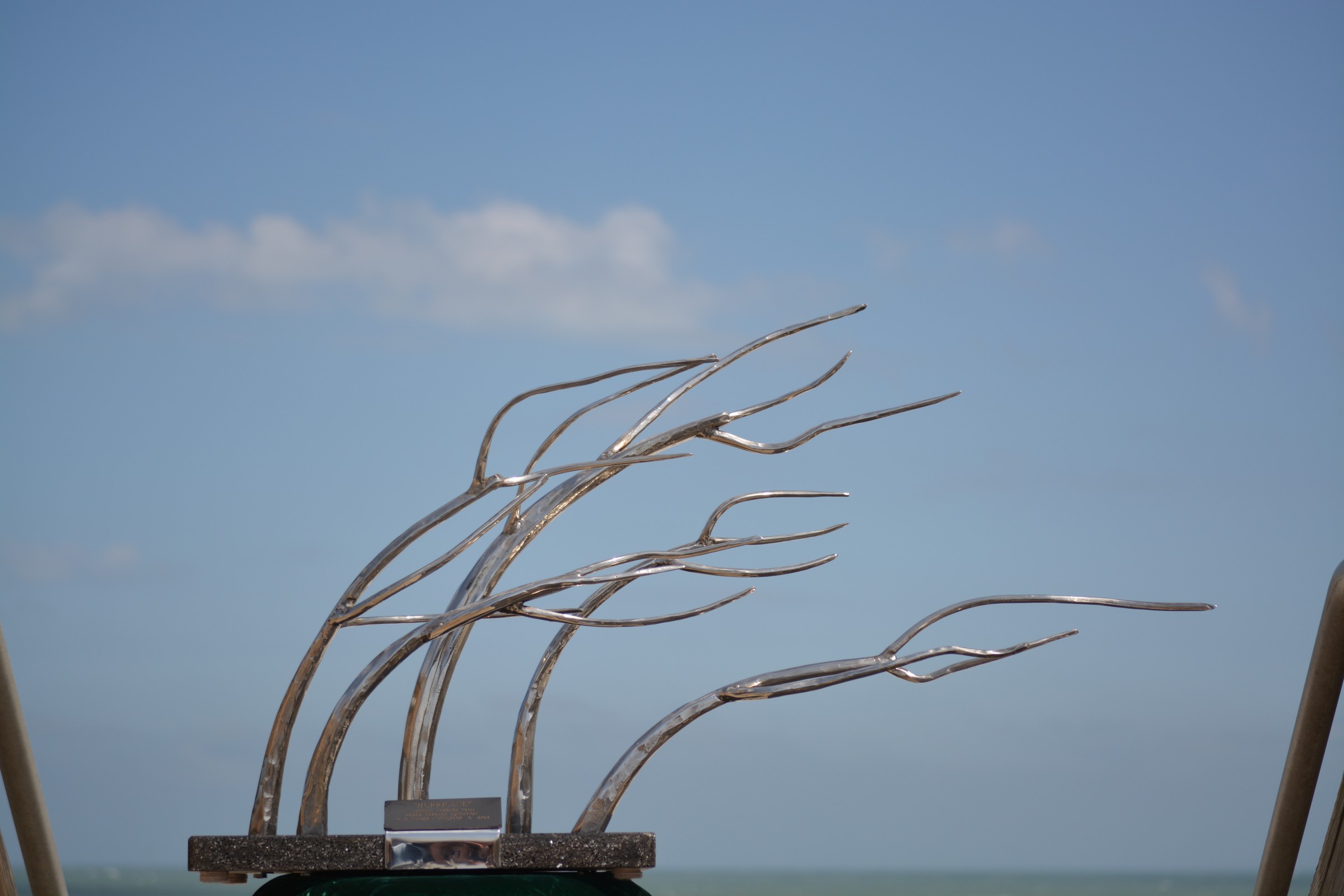 DSC_0242.JPG