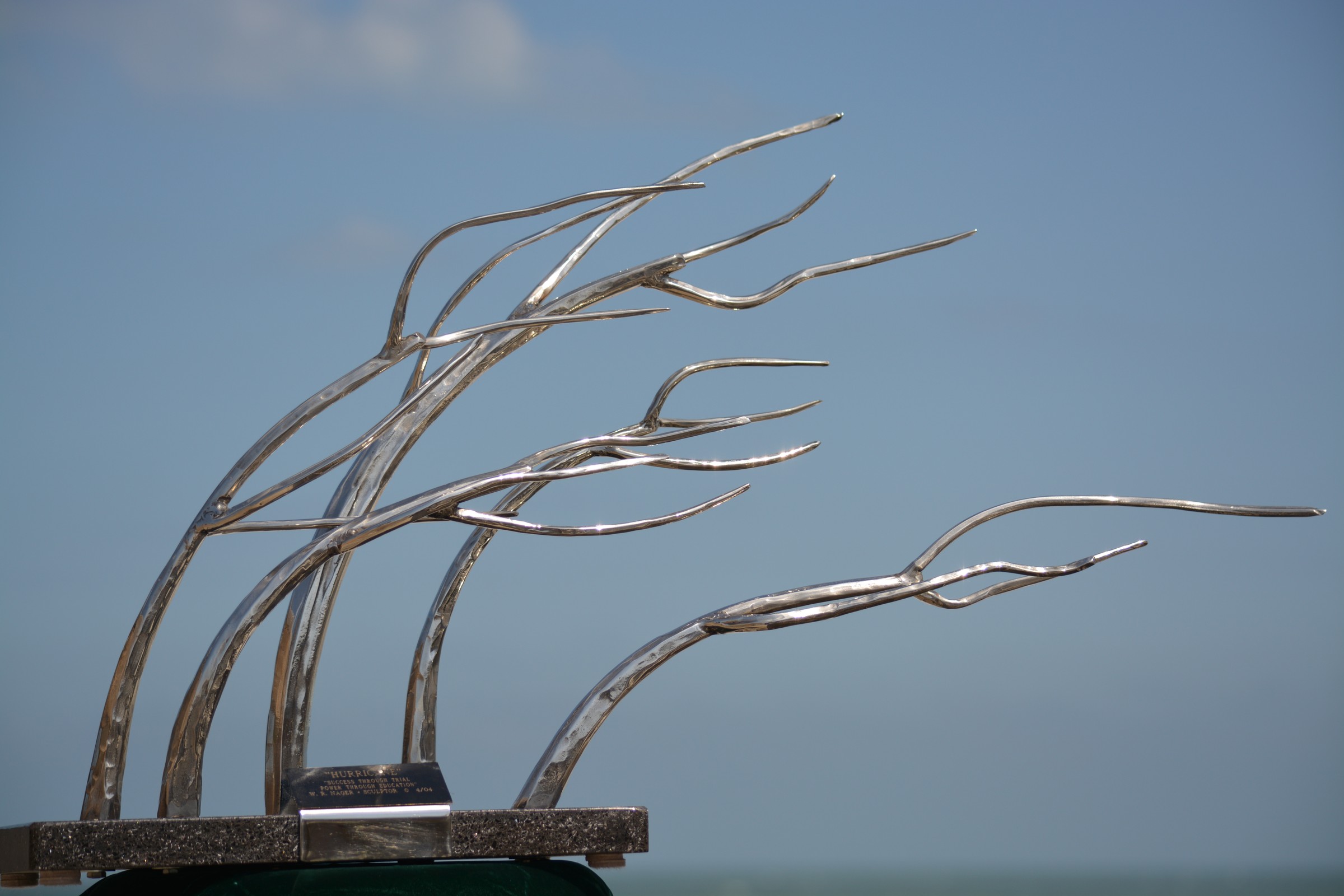 DSC_0247.JPG