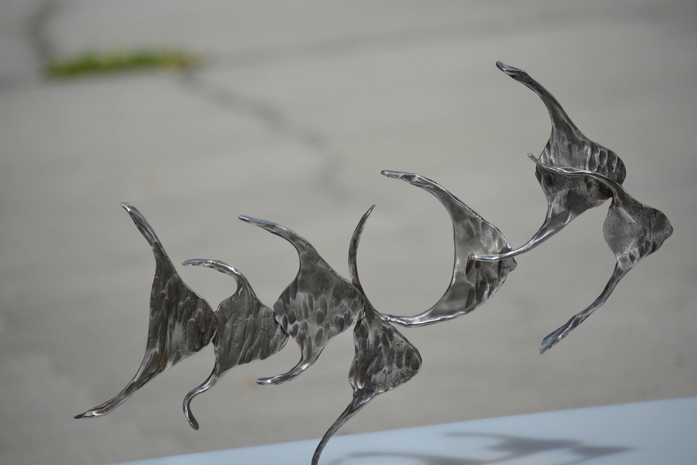 DSC_0117.JPG