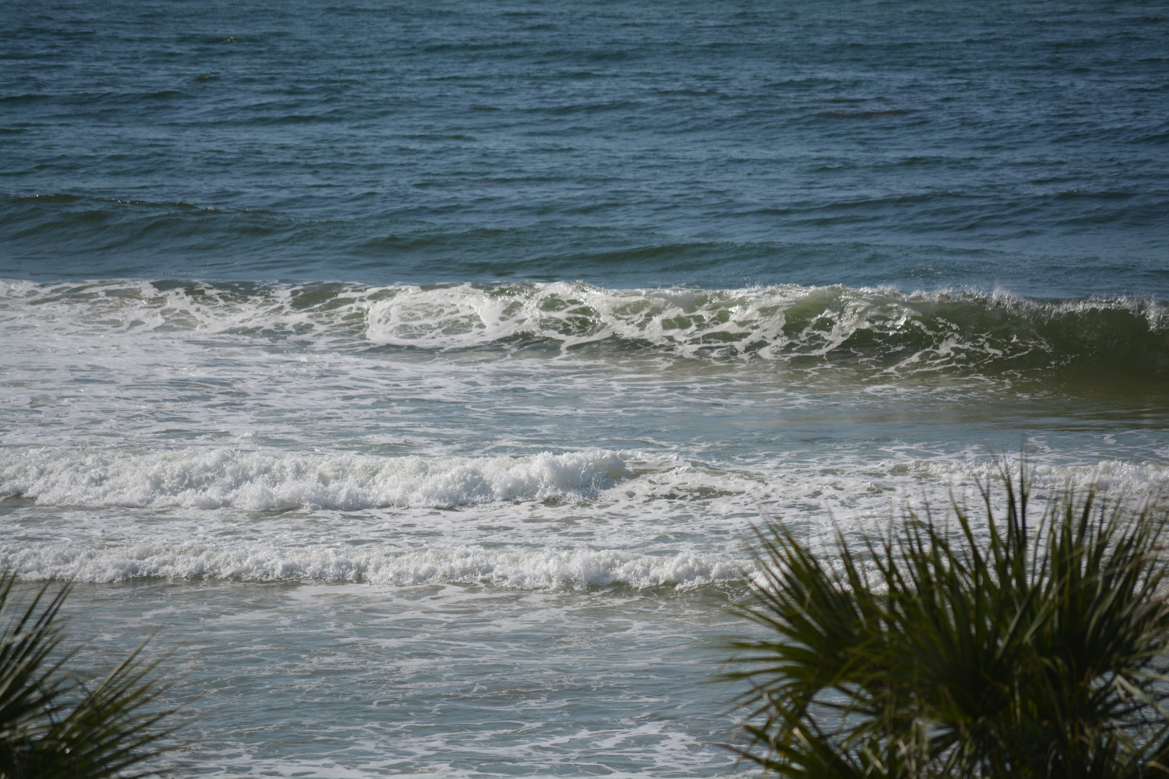 DSC_0203.JPG