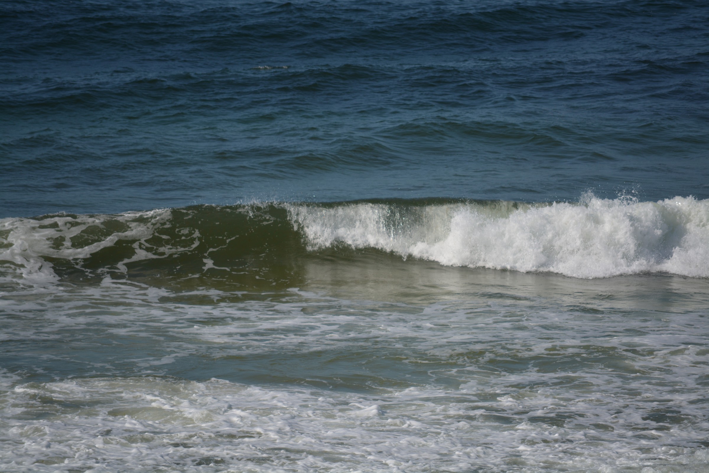DSC_0206.JPG