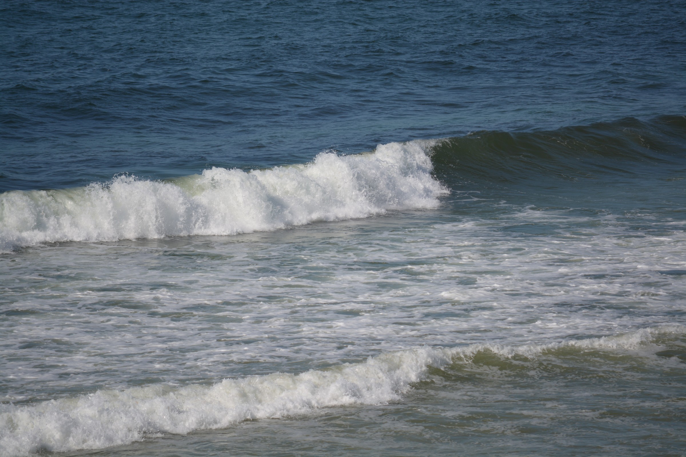 DSC_0211.JPG