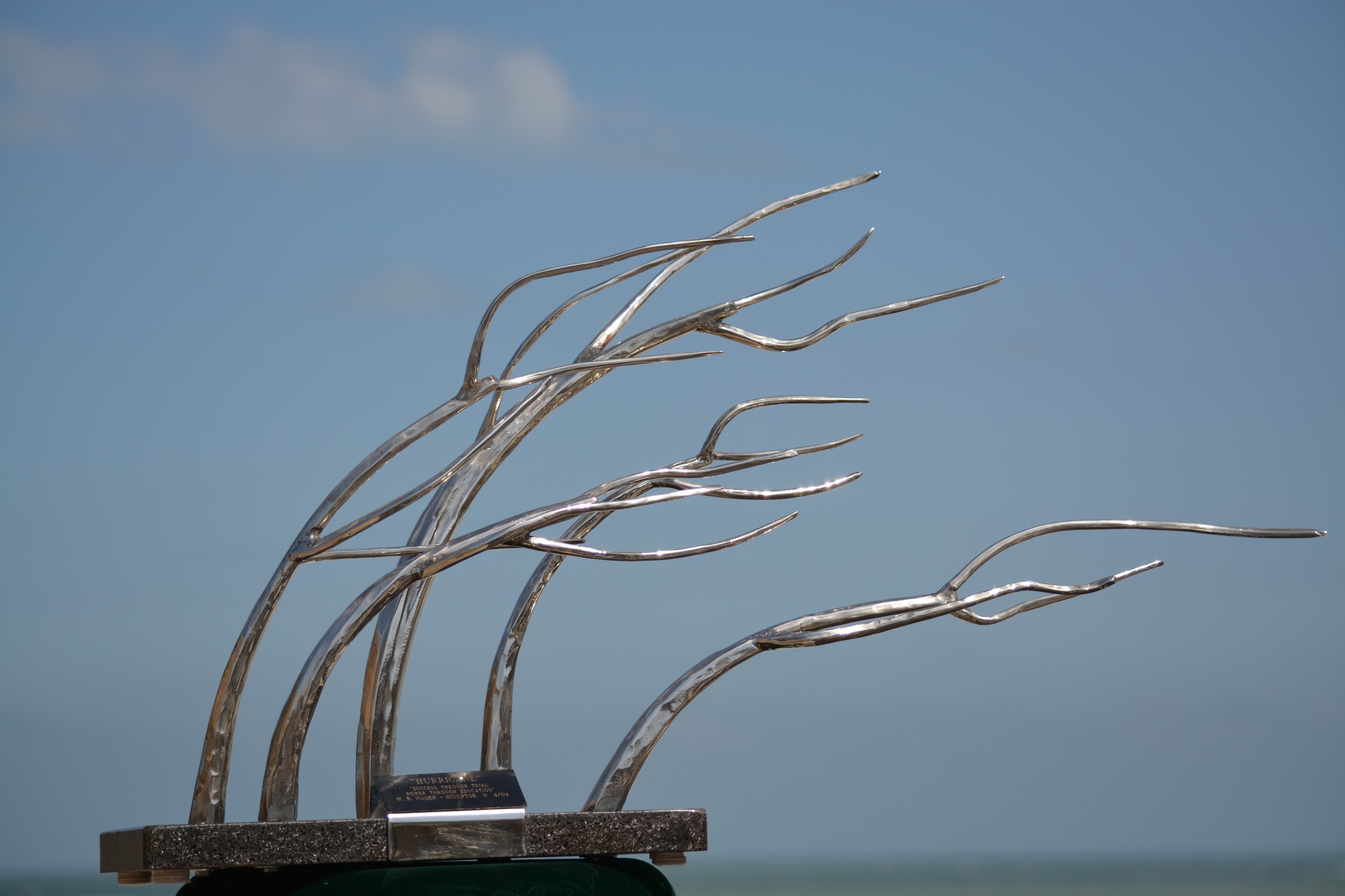 DSC_0248.JPG