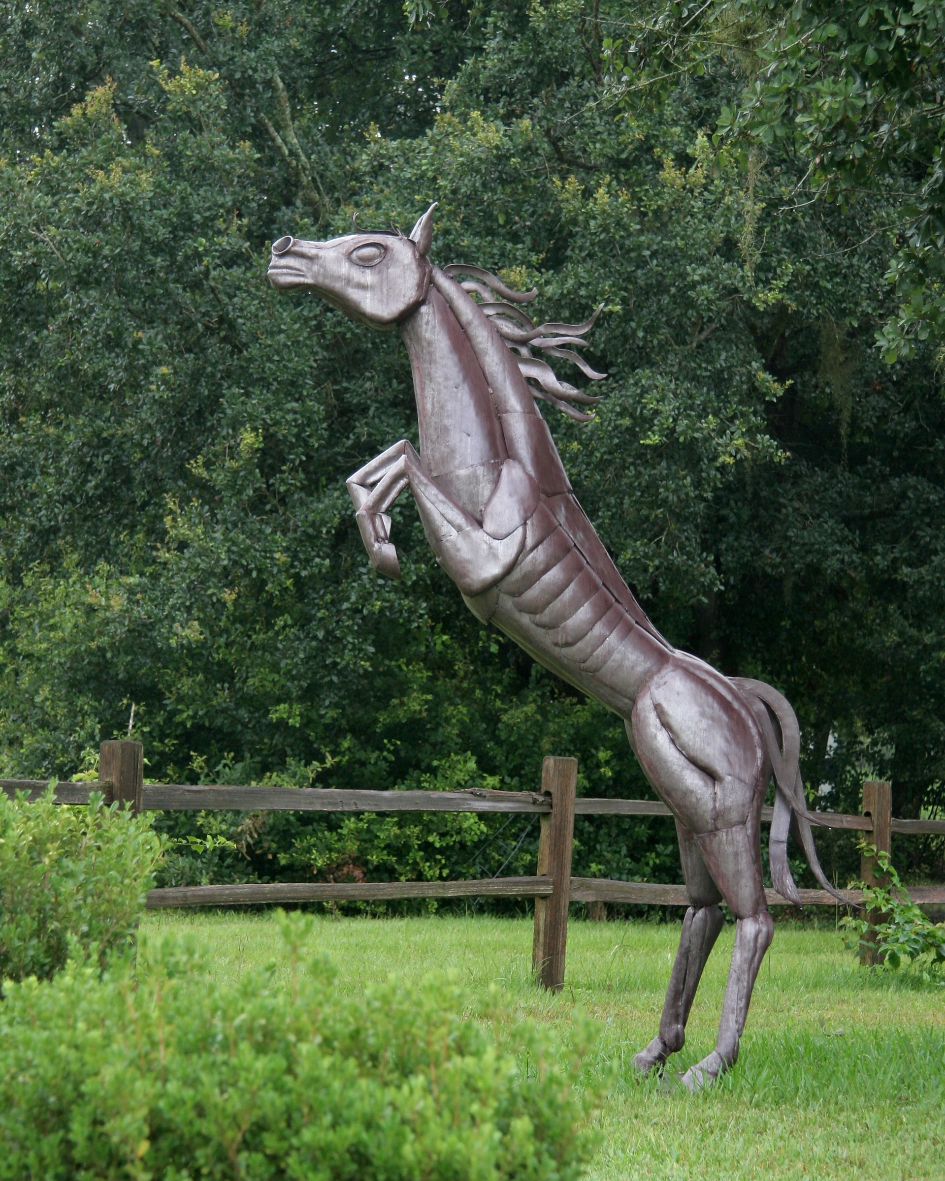 horse_4873.jpg