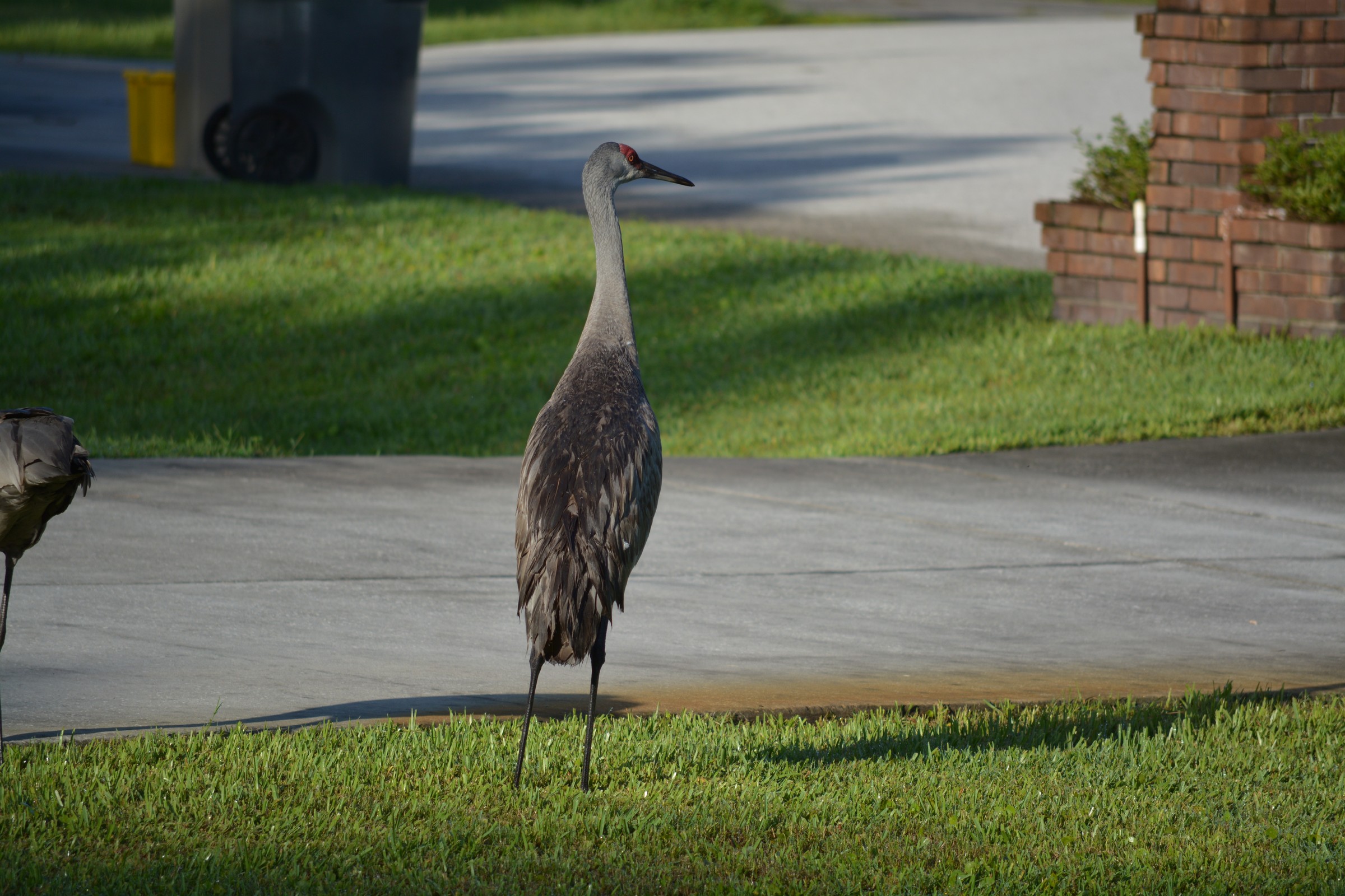 DSC_0022.JPG