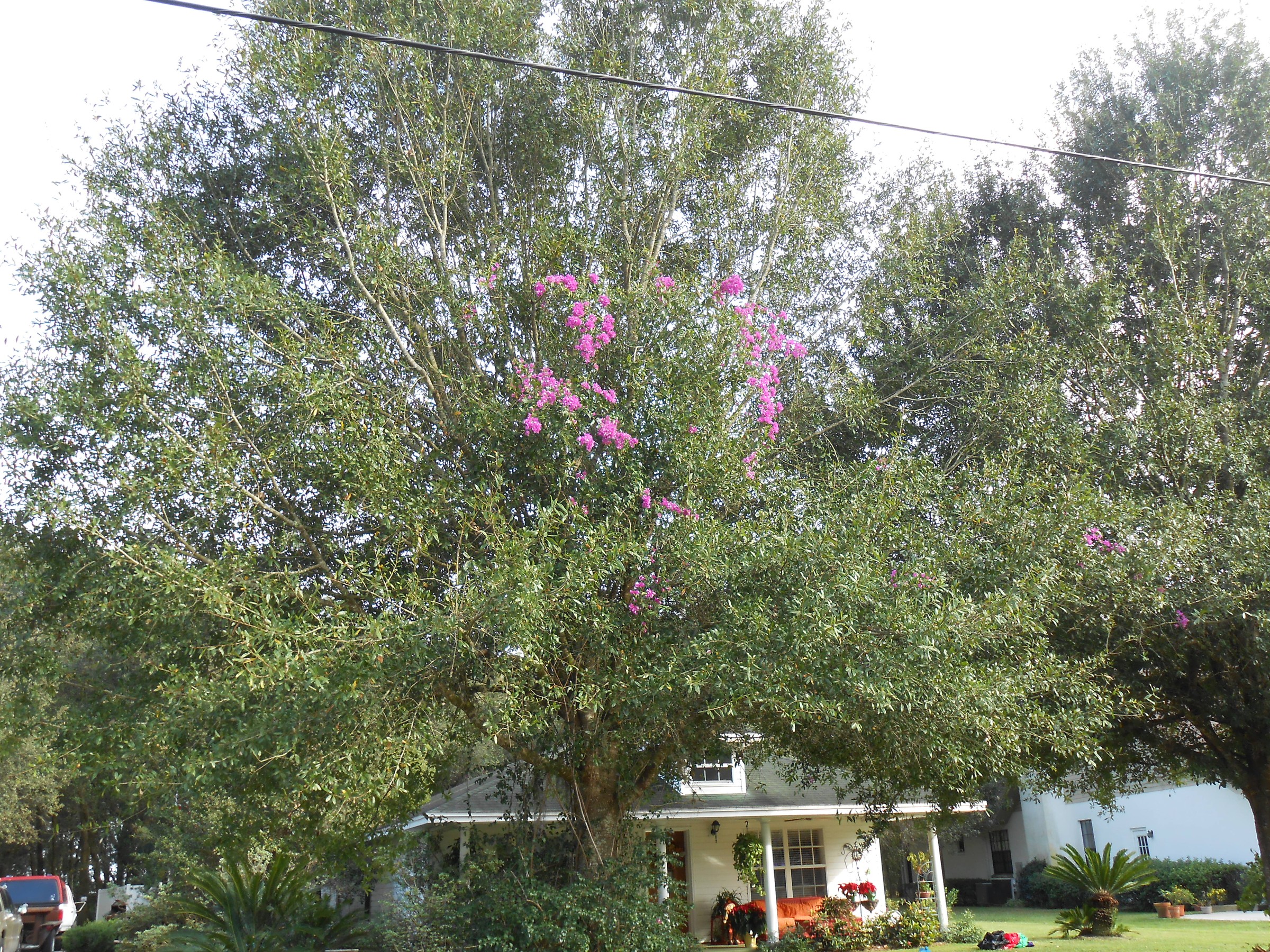 DSCN0624.JPG
