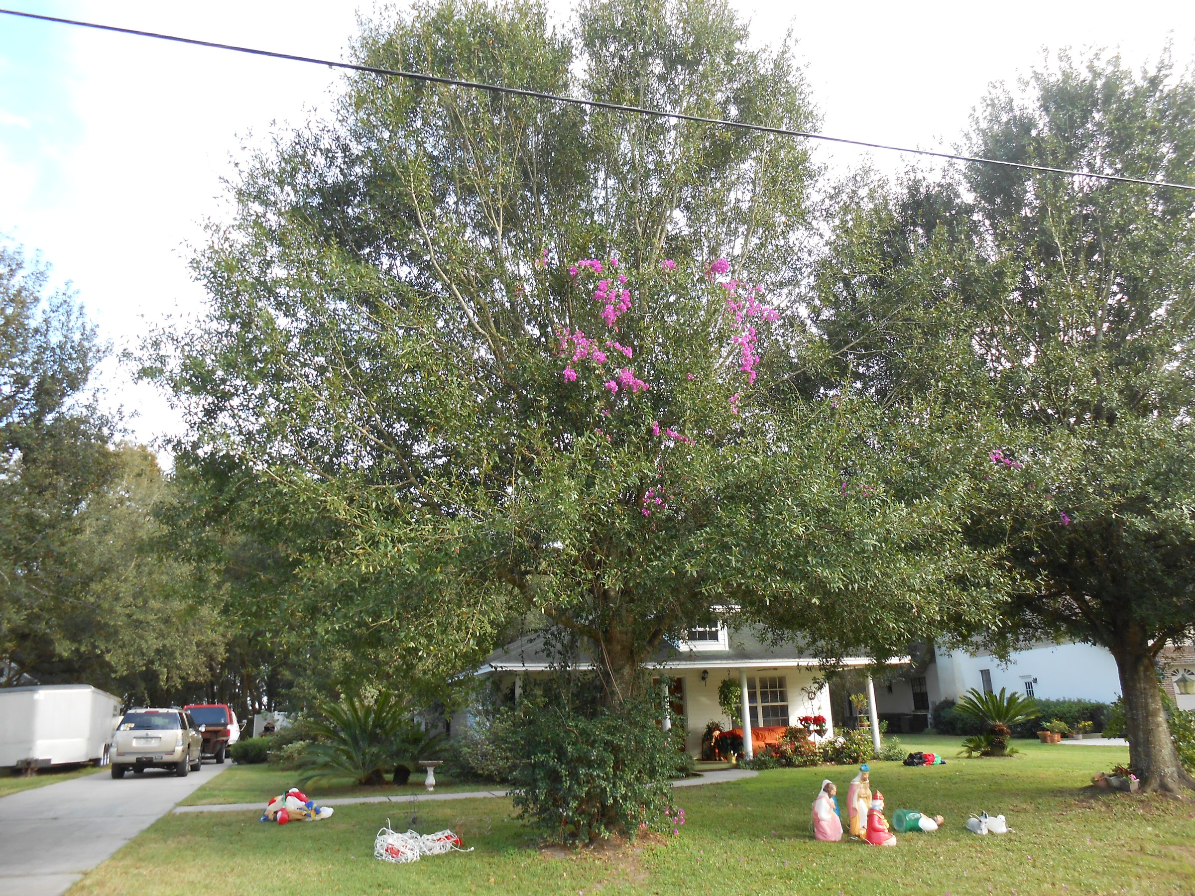 DSCN0626.JPG