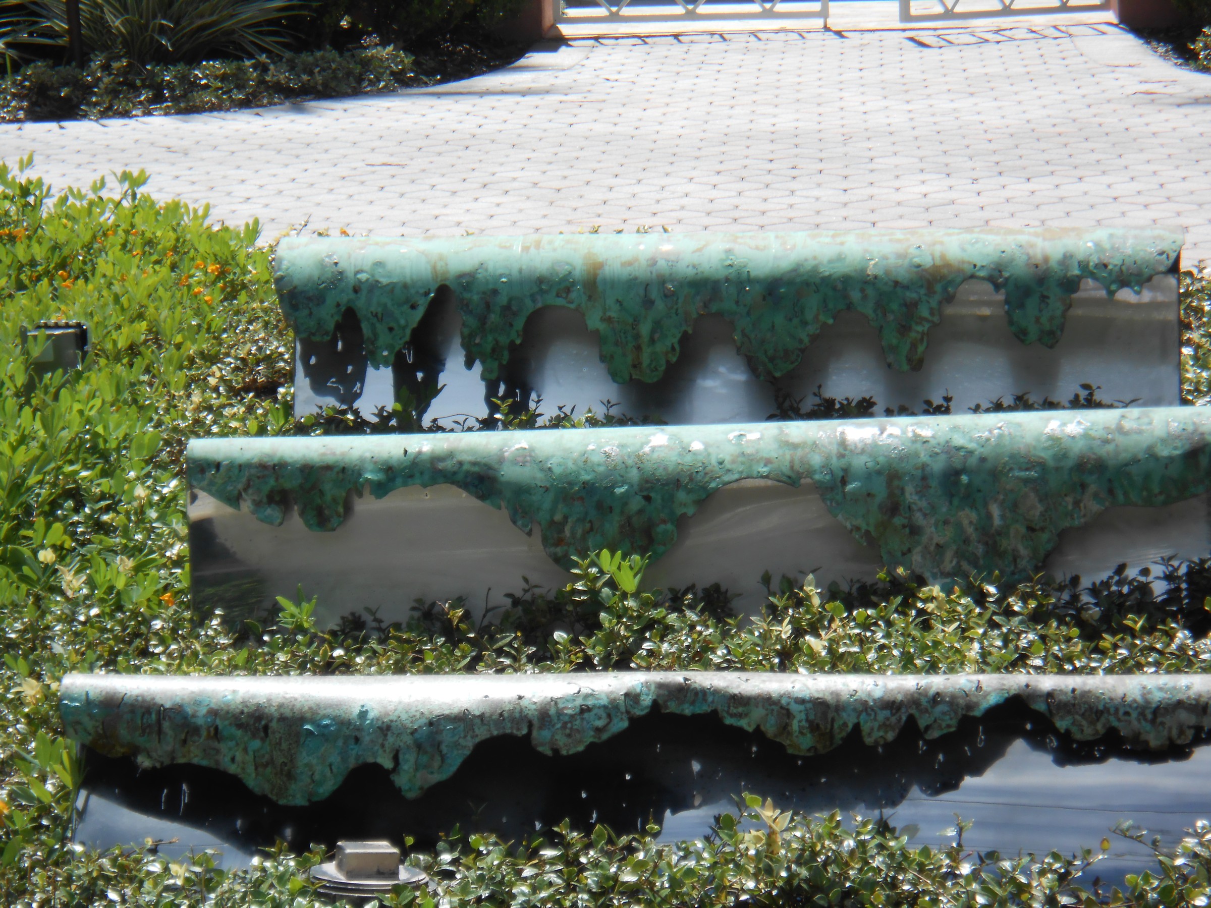DSCN0848.JPG