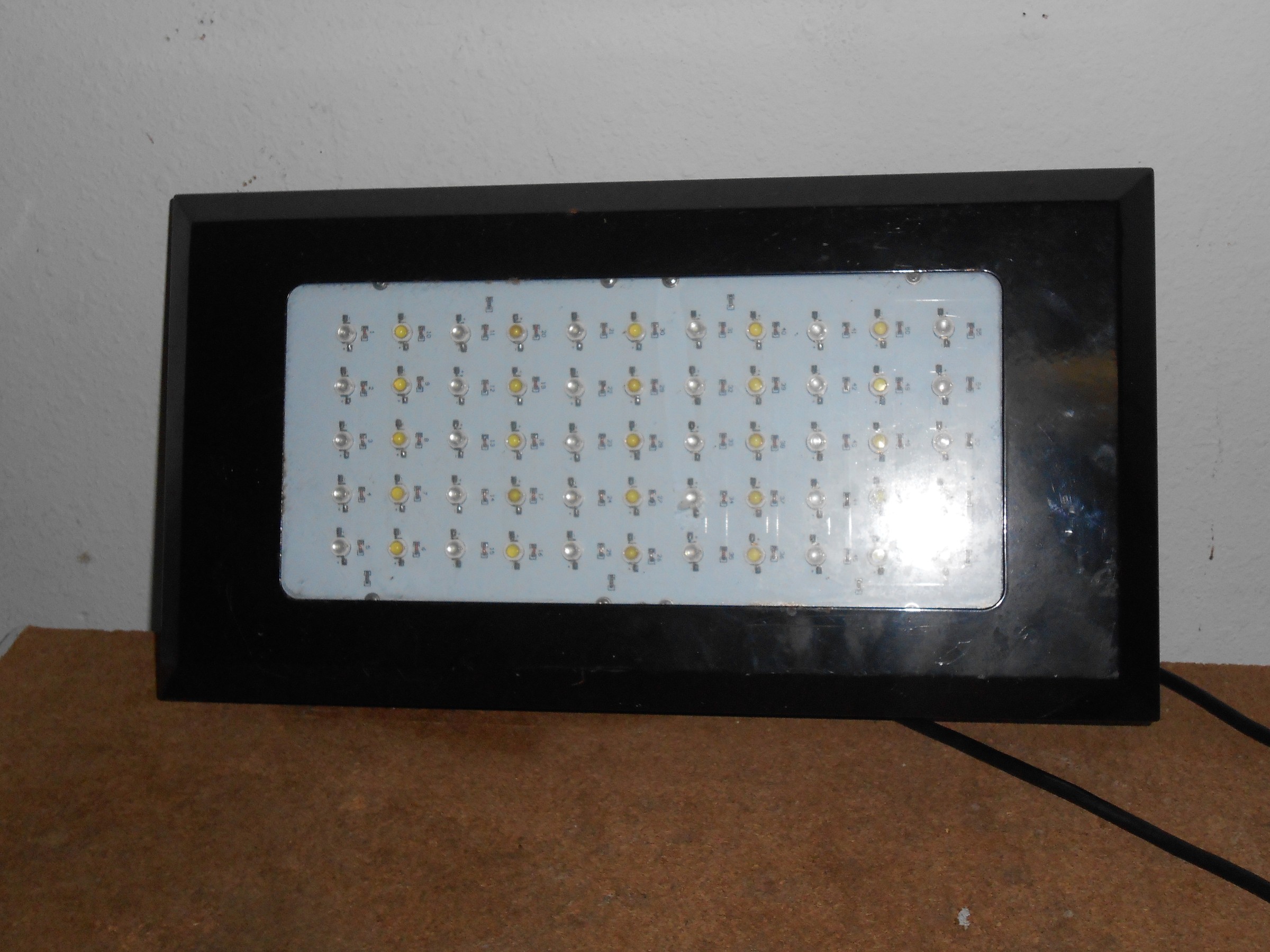 DSCN0863.JPG