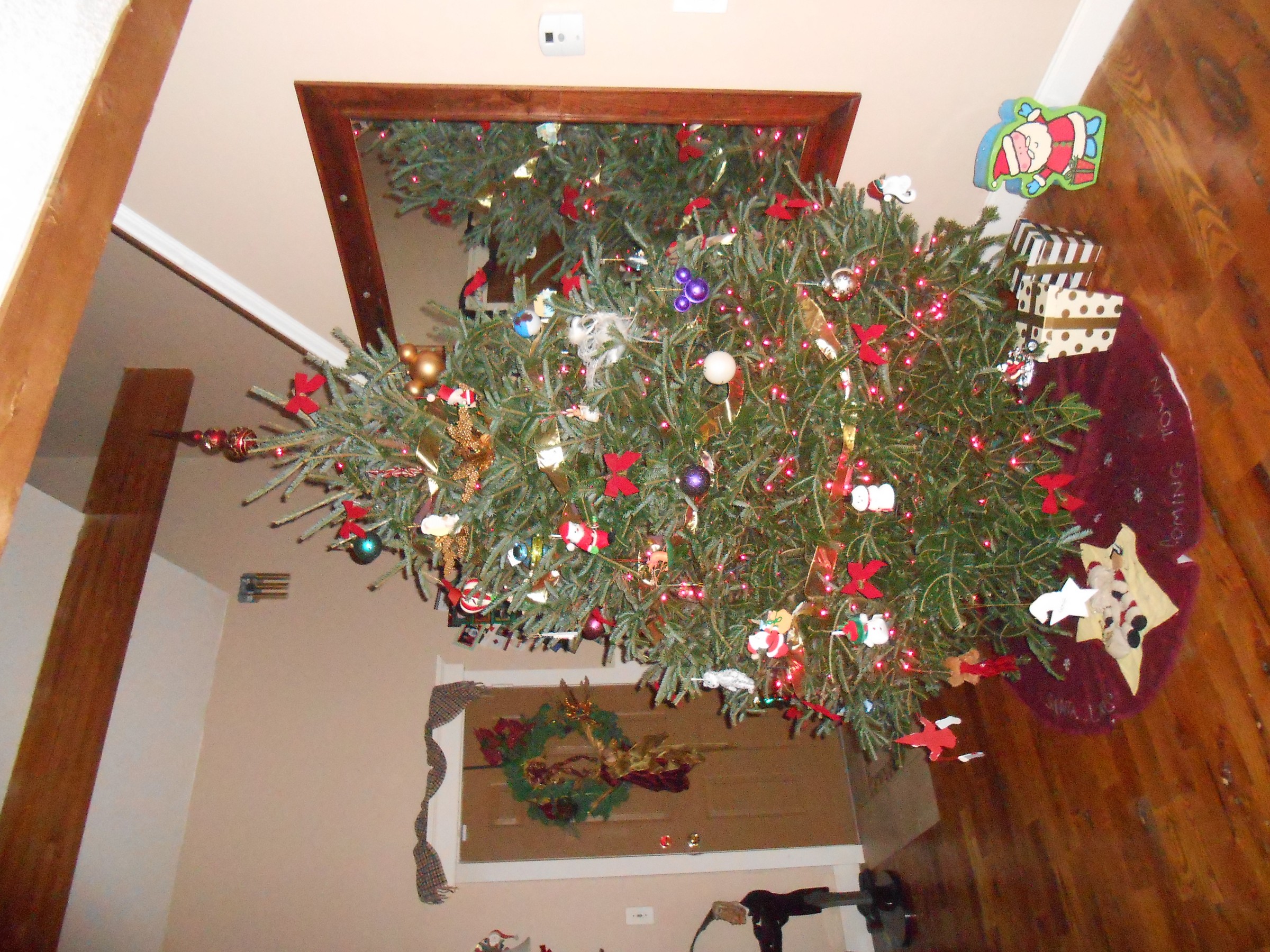 DSCN0867.JPG