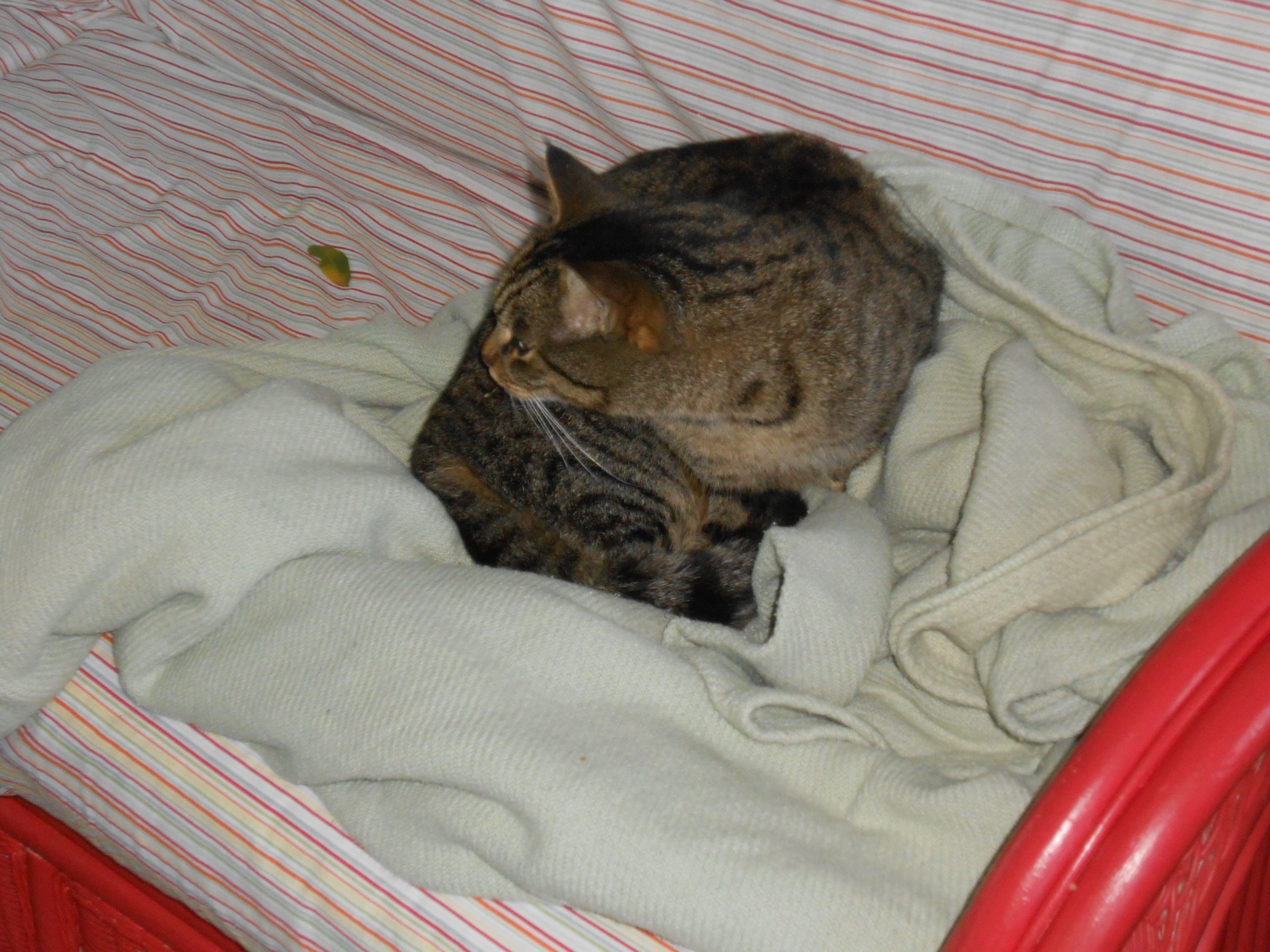 DSCN0890.JPG