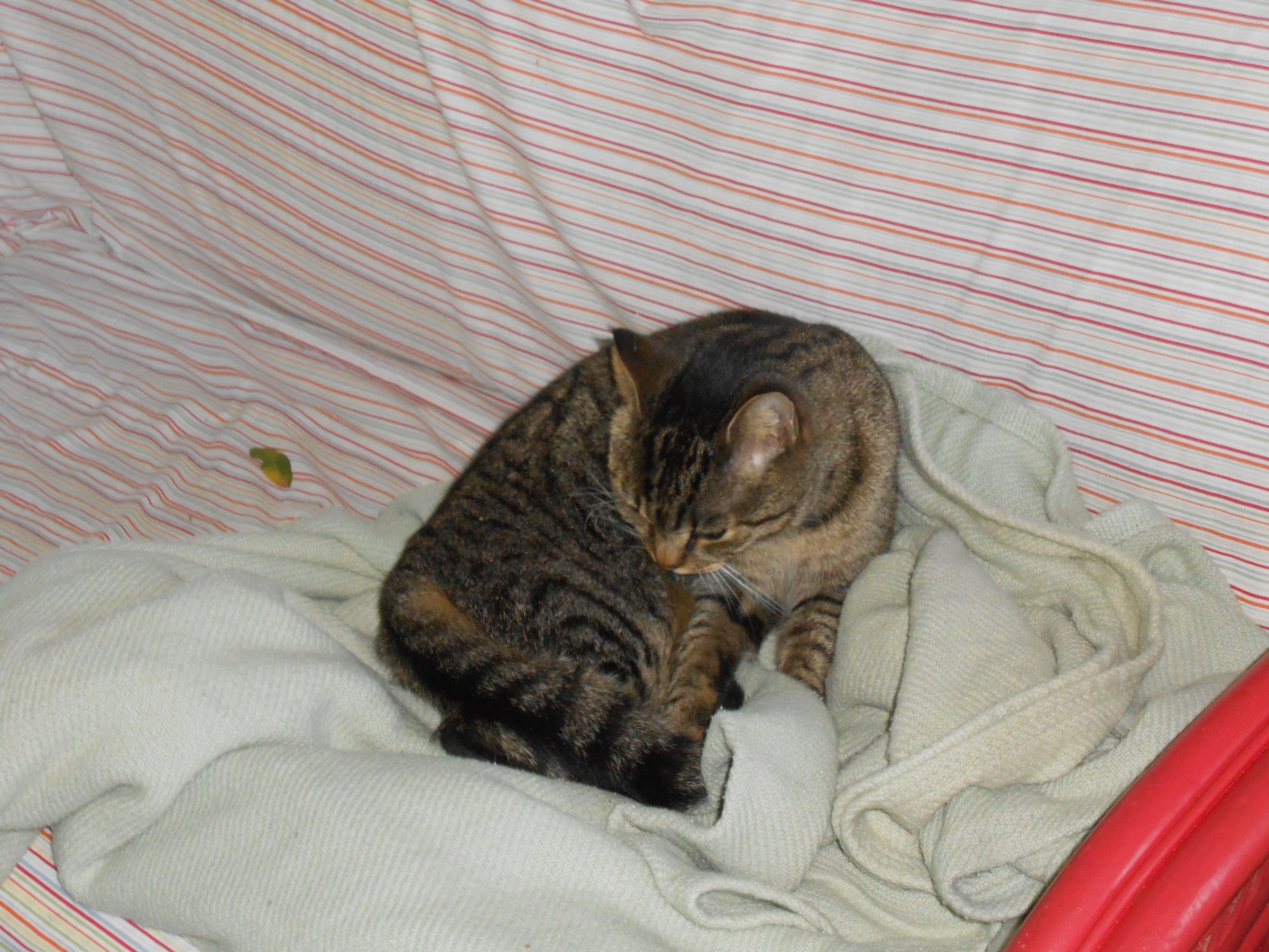 DSCN0891.JPG