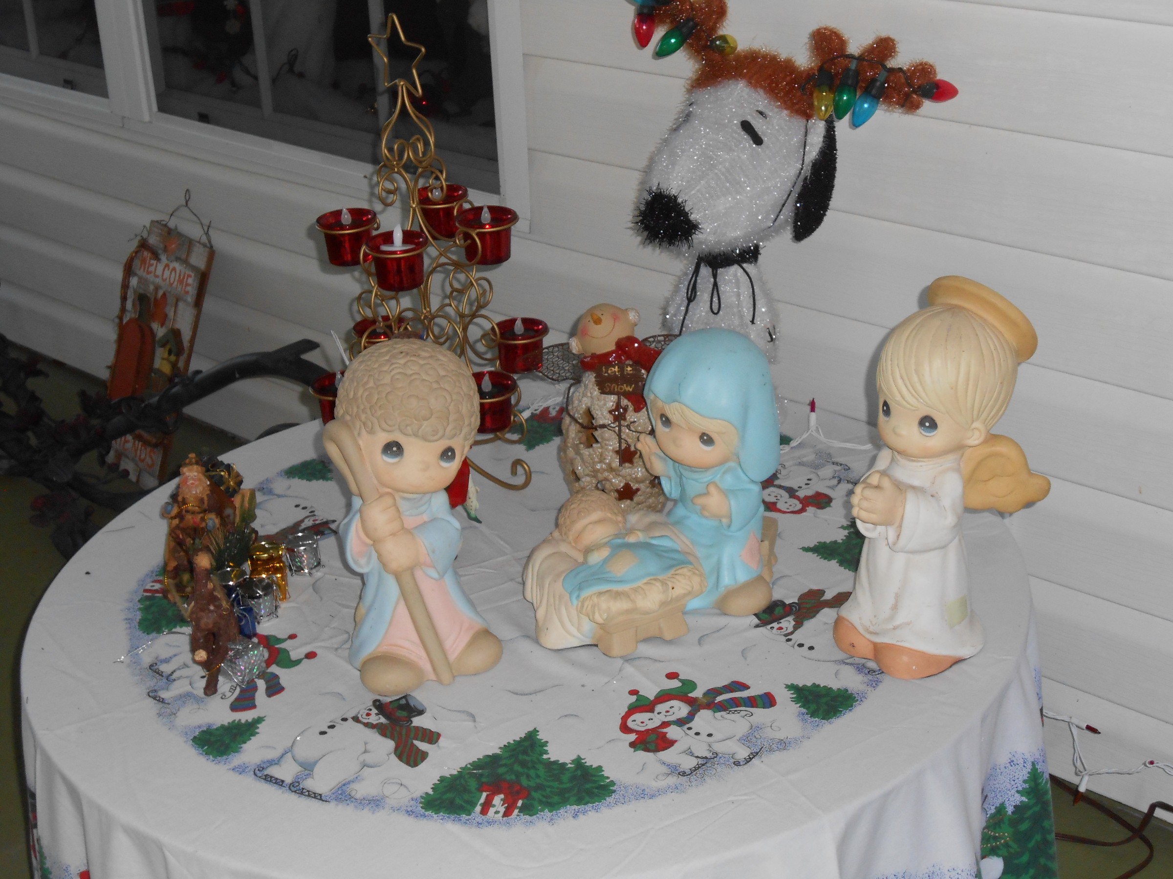 DSCN0894.JPG