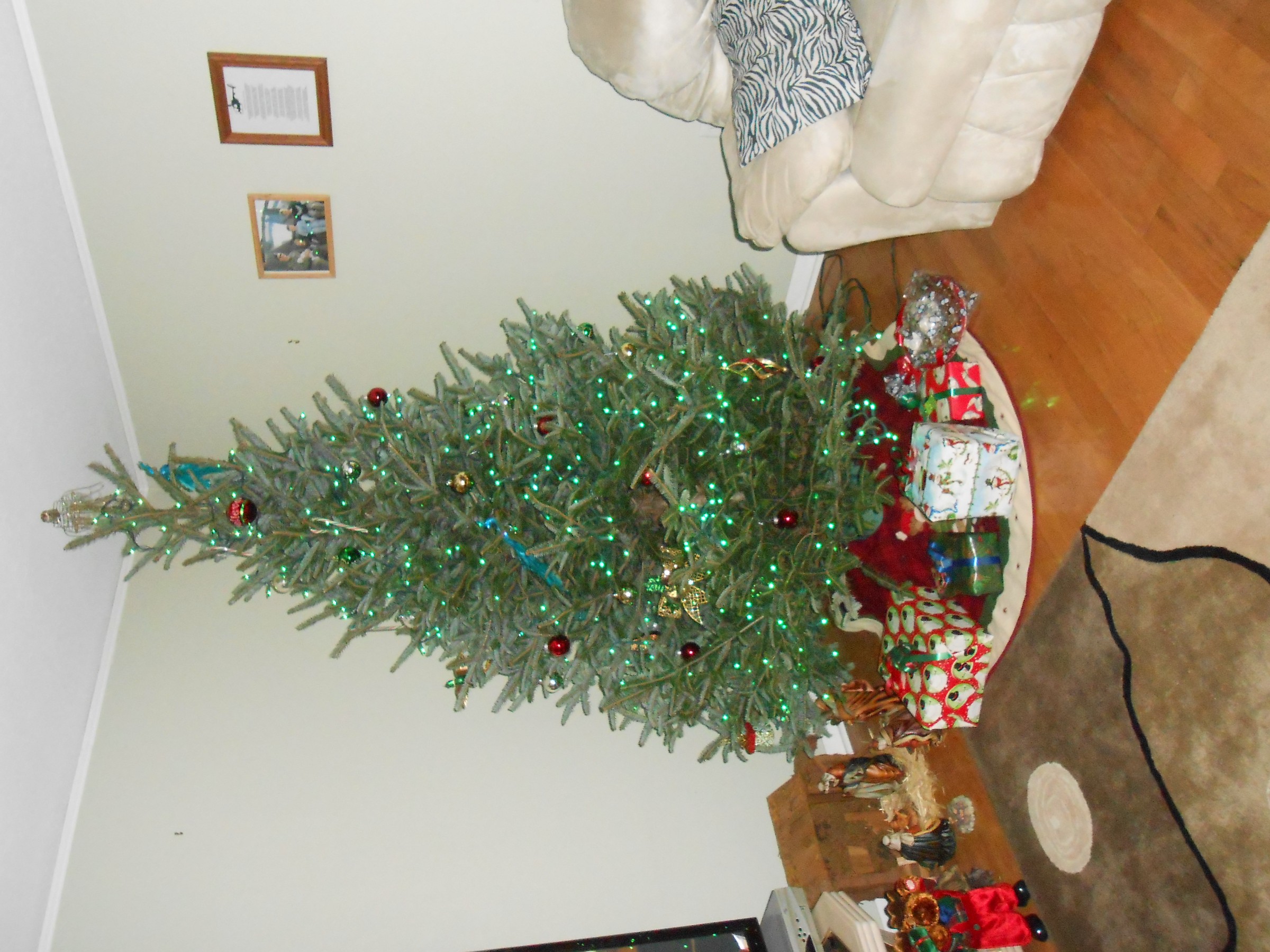 DSCN0903.JPG