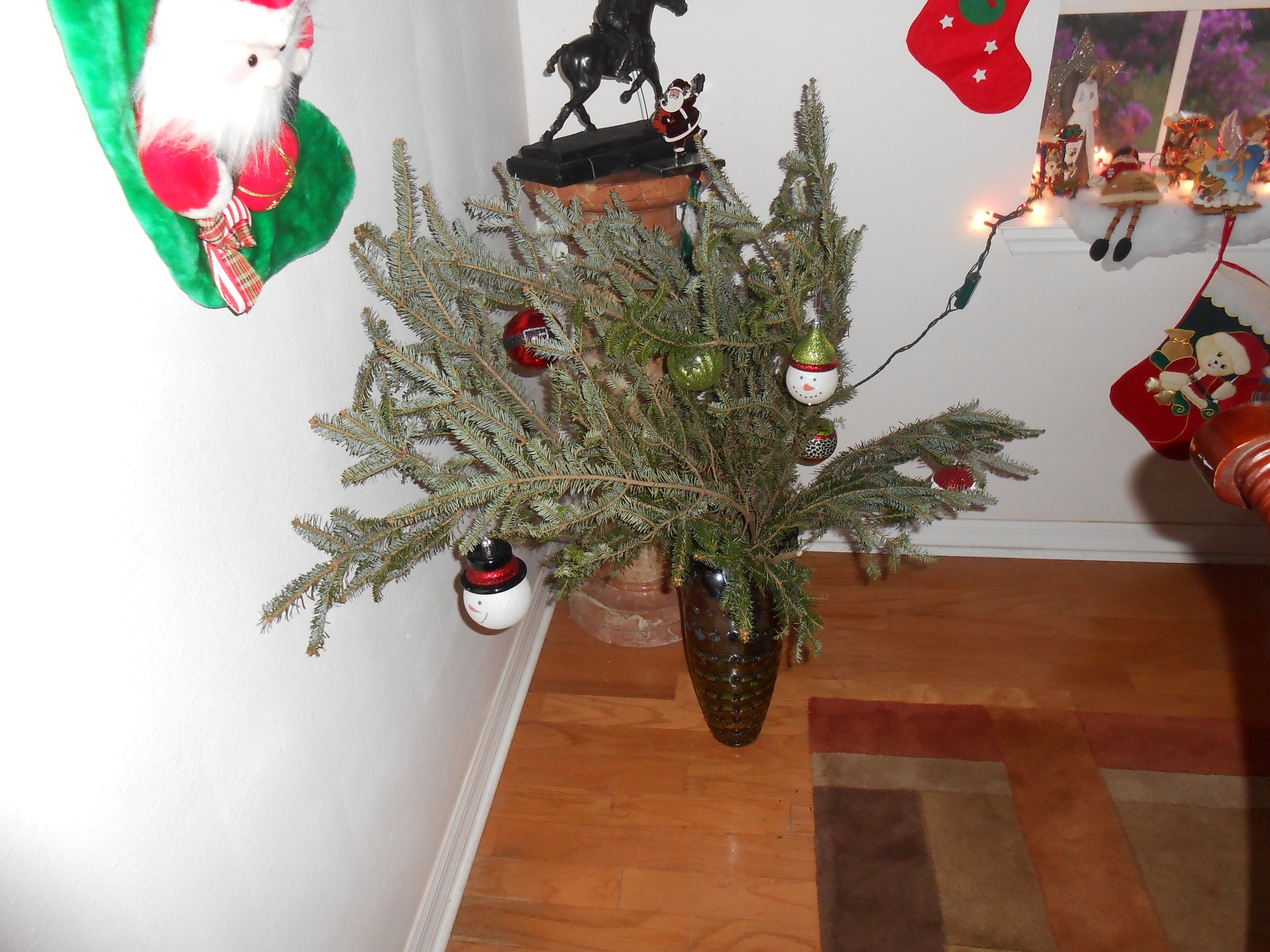 DSCN0907.JPG