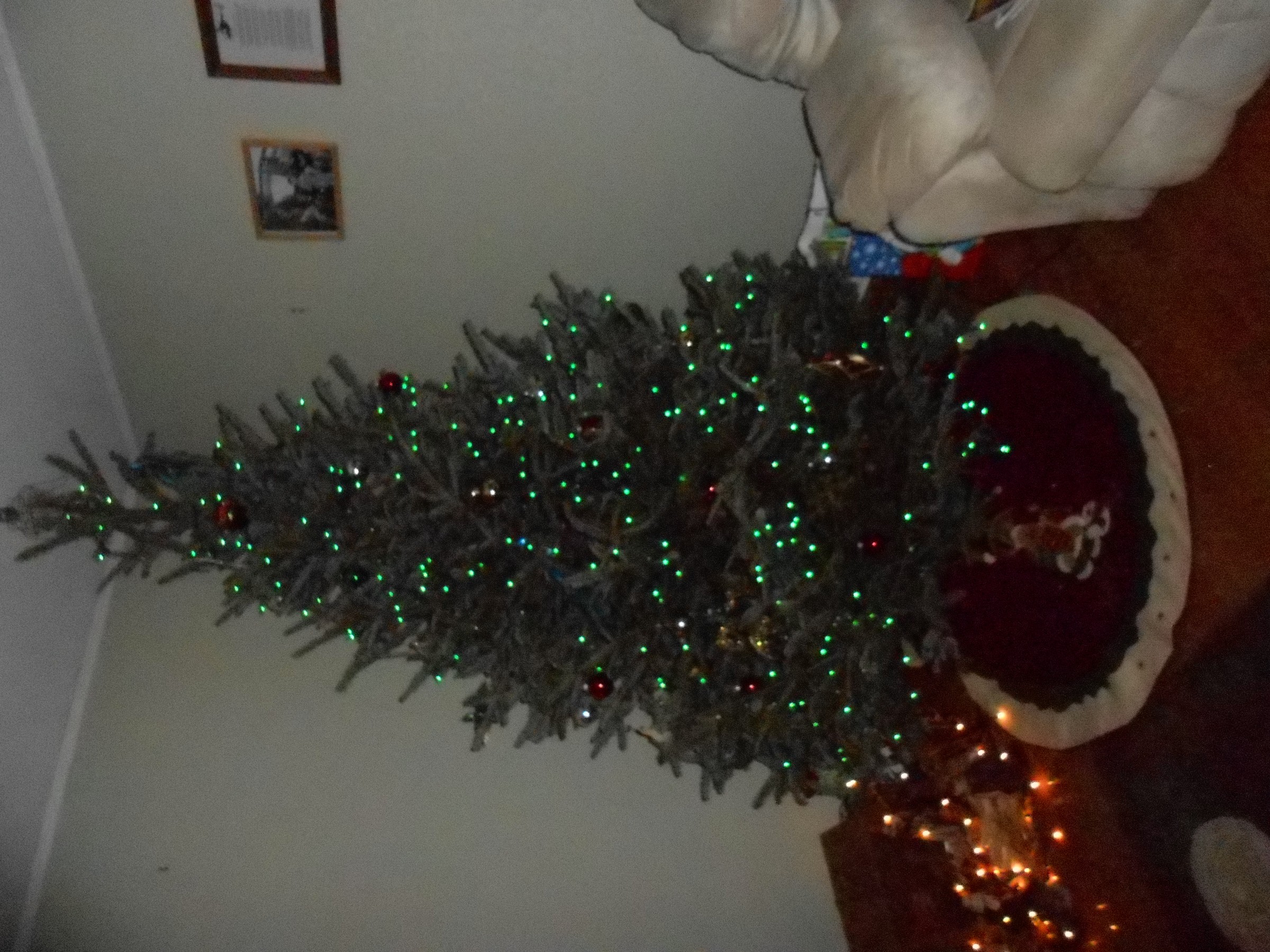 DSCN0909.JPG