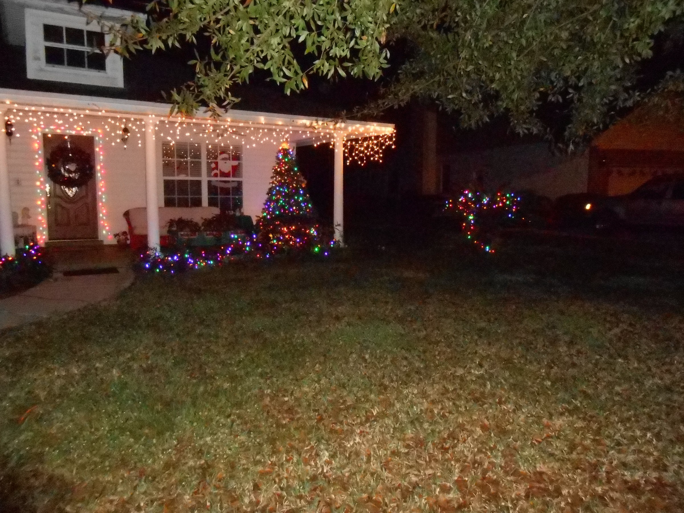 DSCN0913.JPG