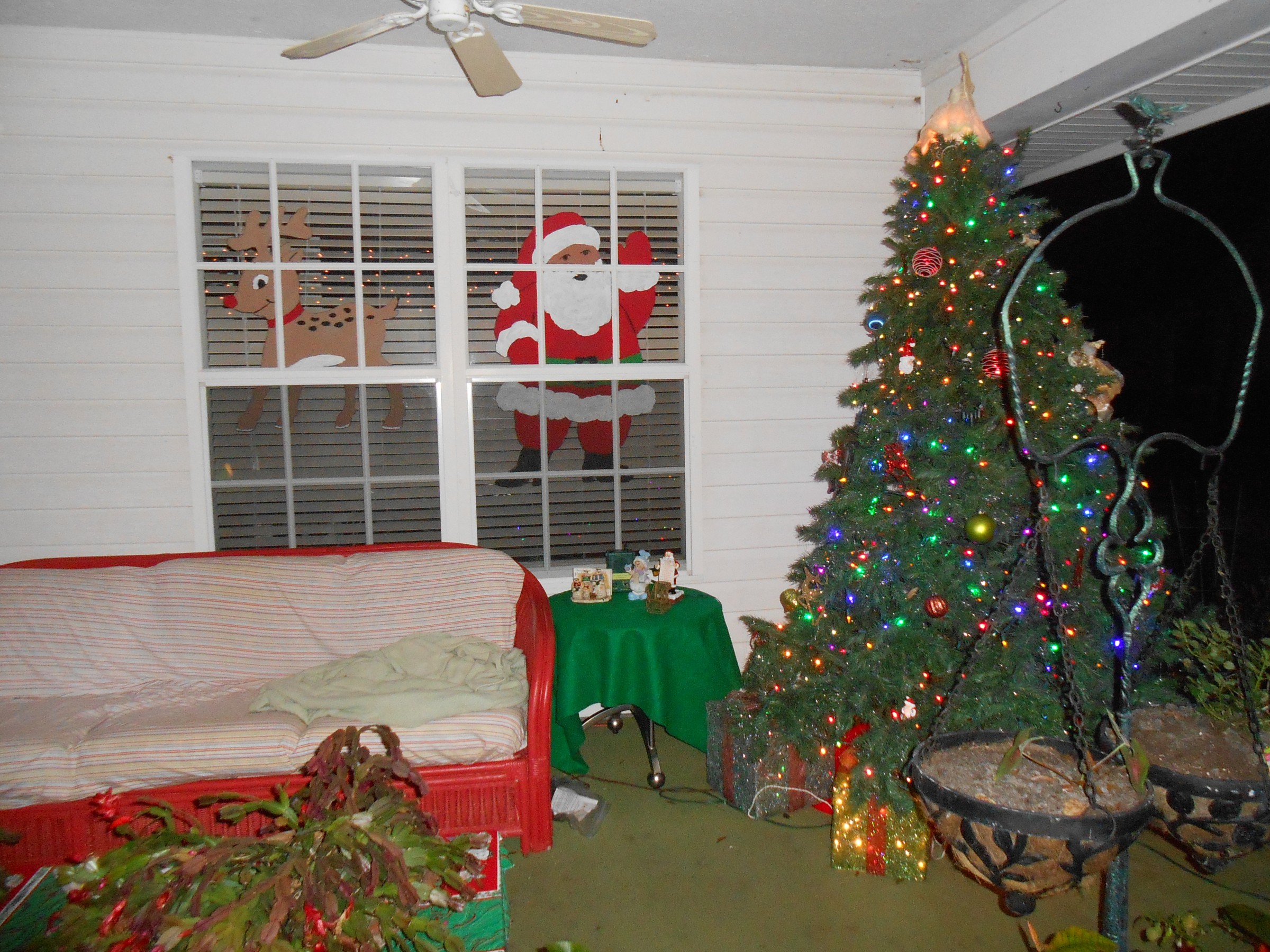 DSCN0916.JPG