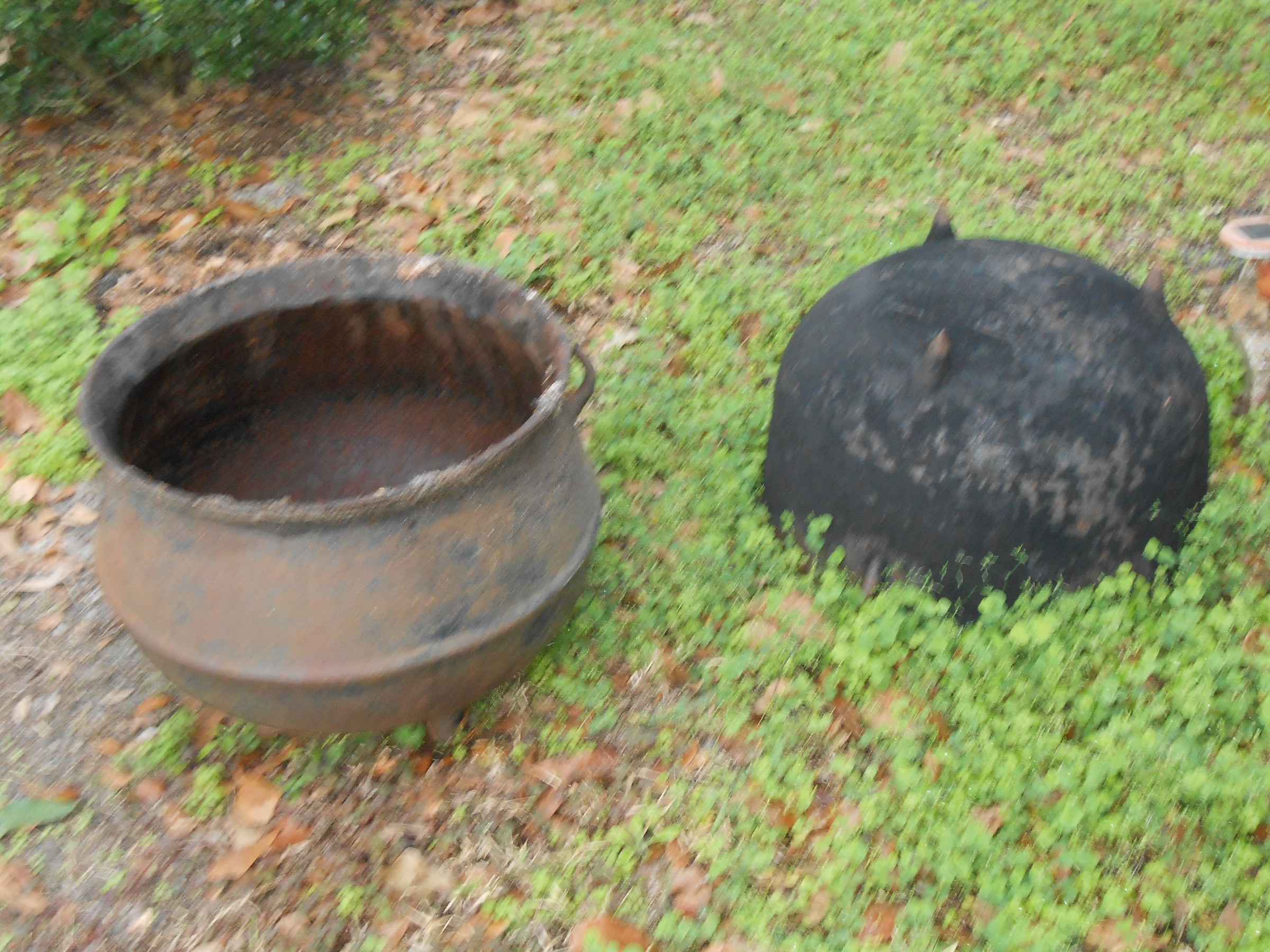 DSCN0961.JPG
