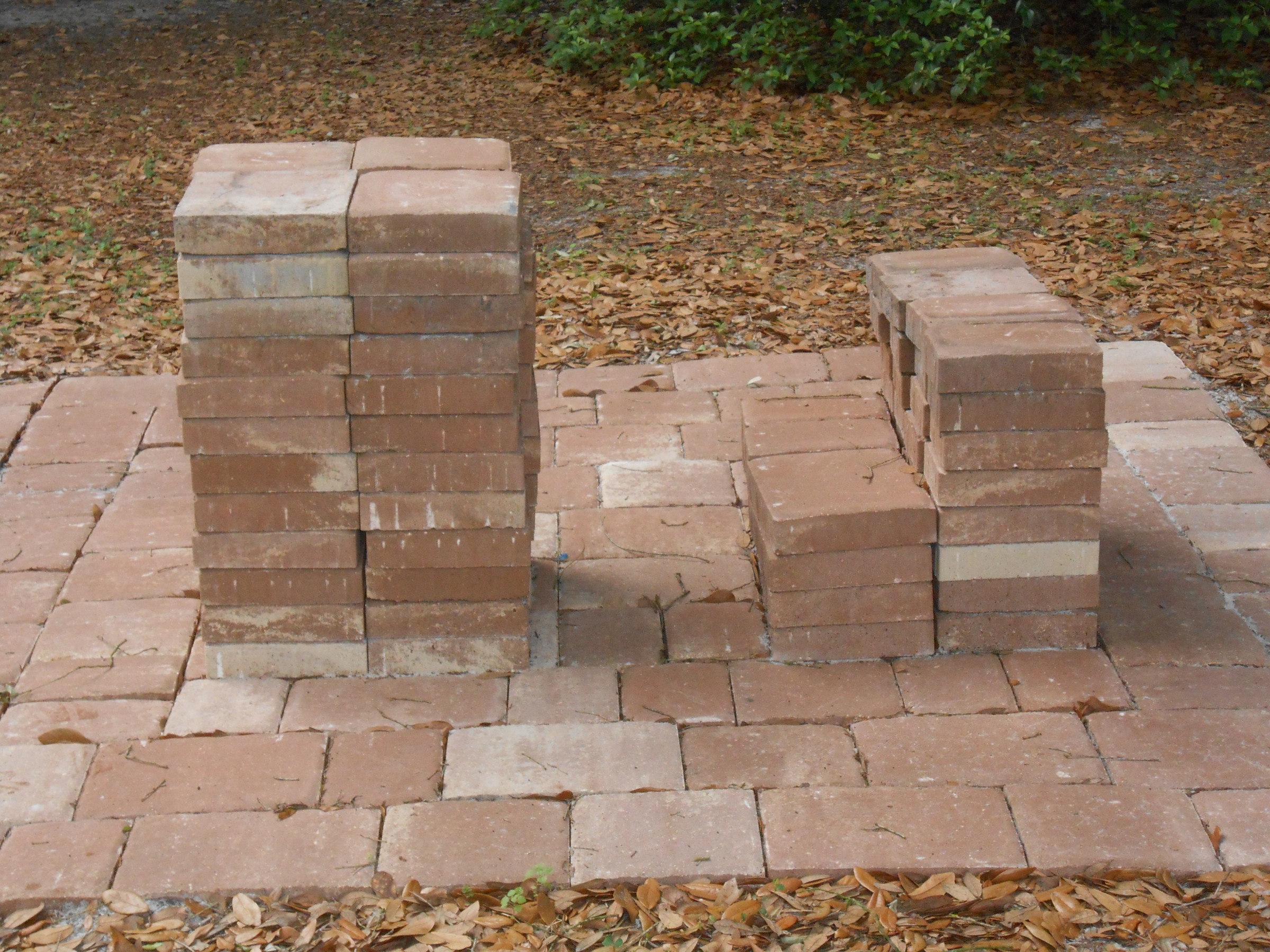 DSCN1029.JPG