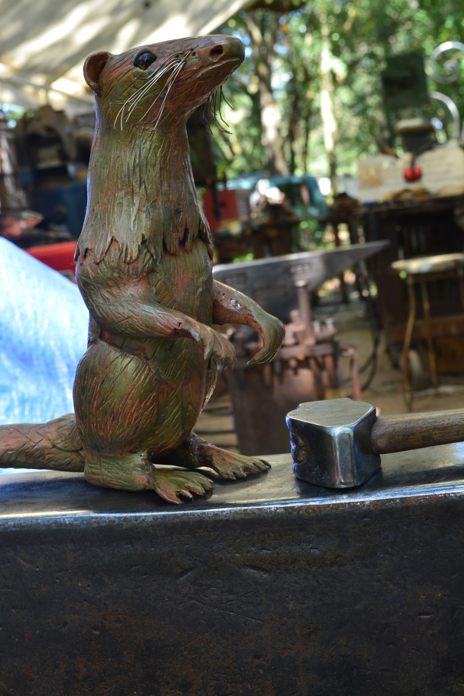 DSC_0103.JPG