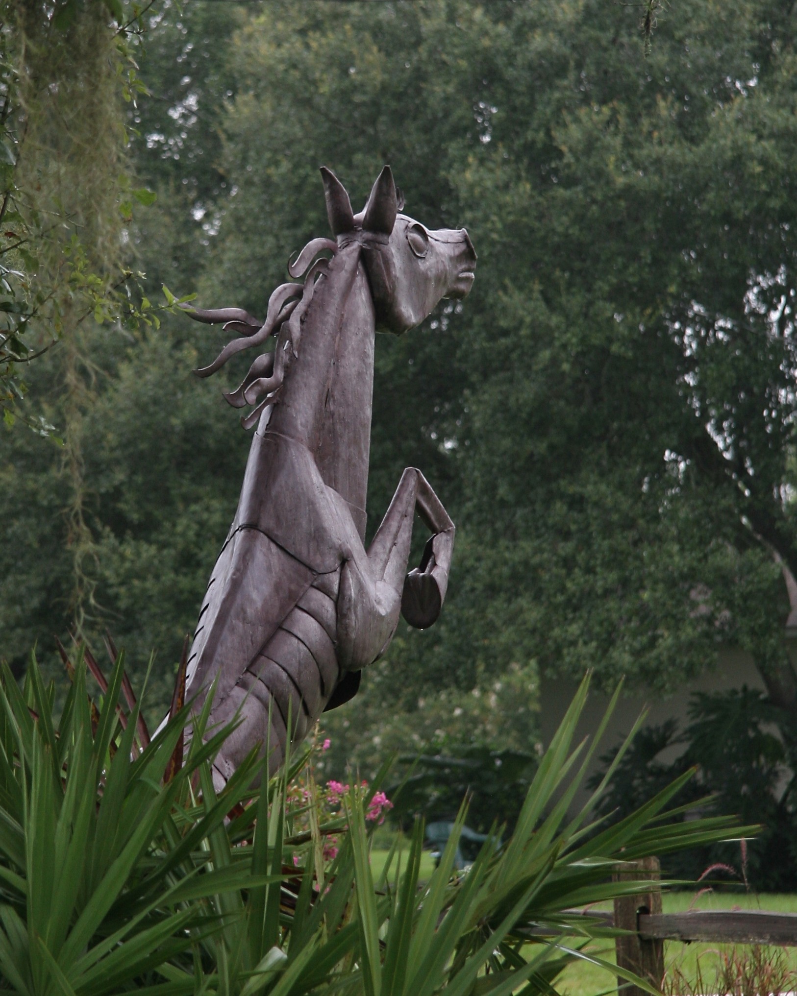 horse_4865.jpg