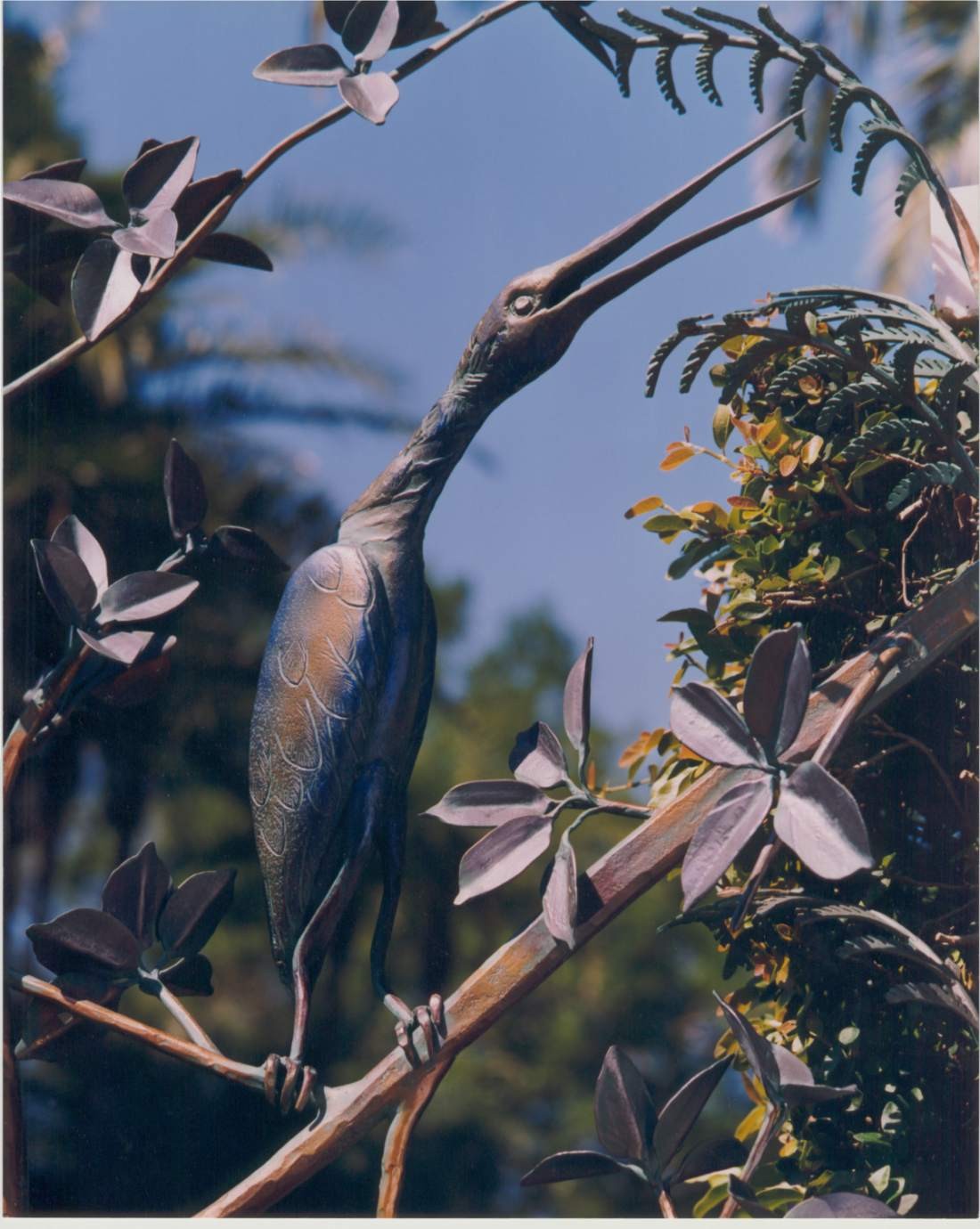 bird1100.jpg