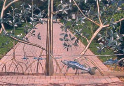 snook250.jpg