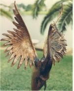 spreadyourwings.jpg