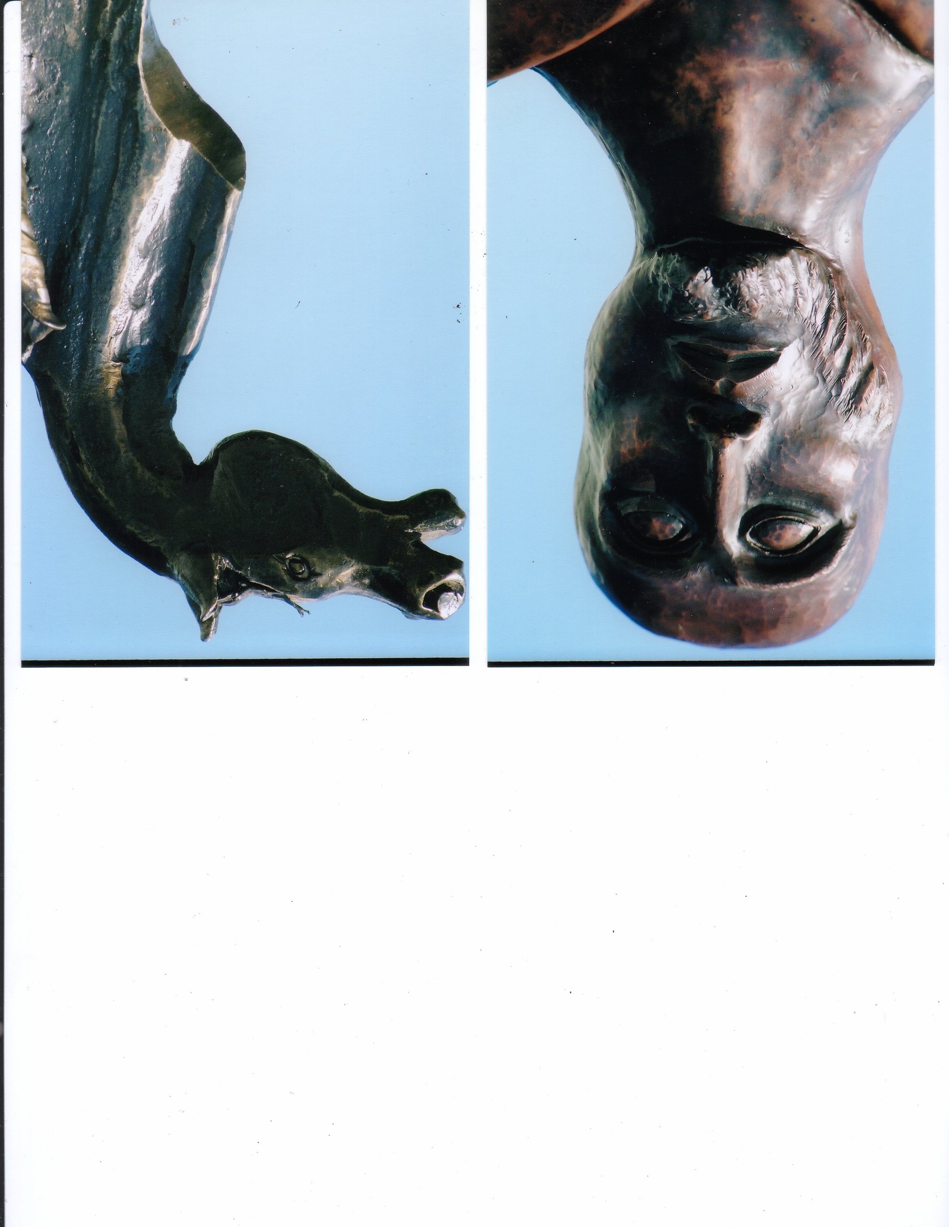 image2.jpg