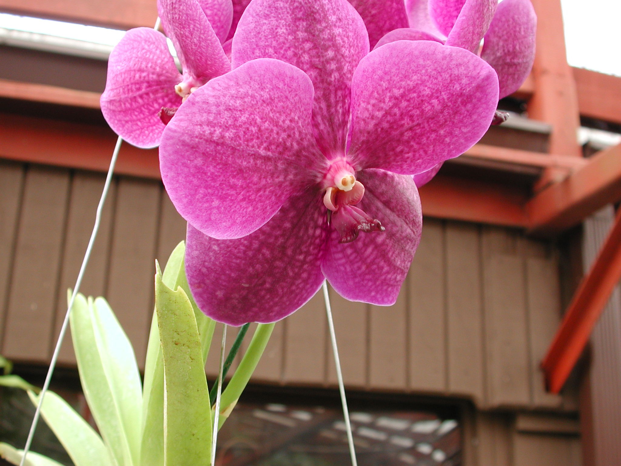 DSCN0114.JPG