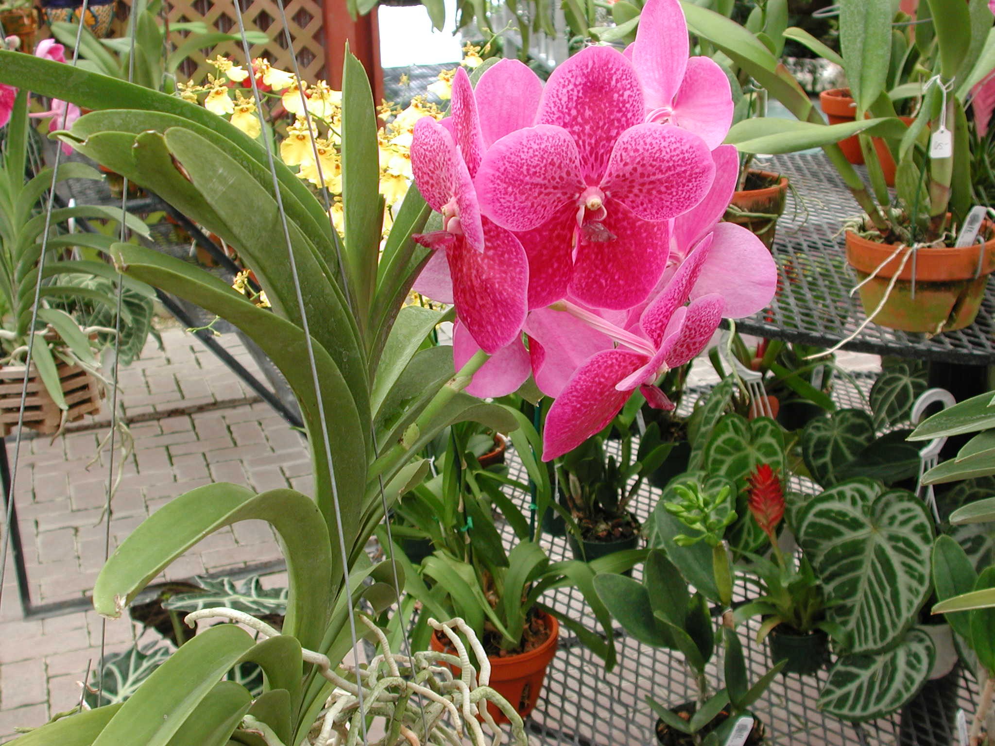 DSCN0115.JPG