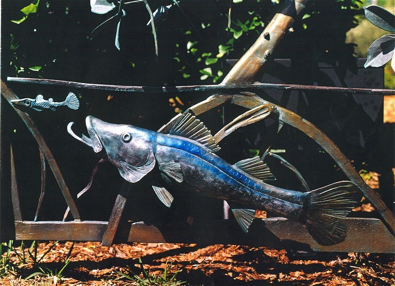 snook800.jpg