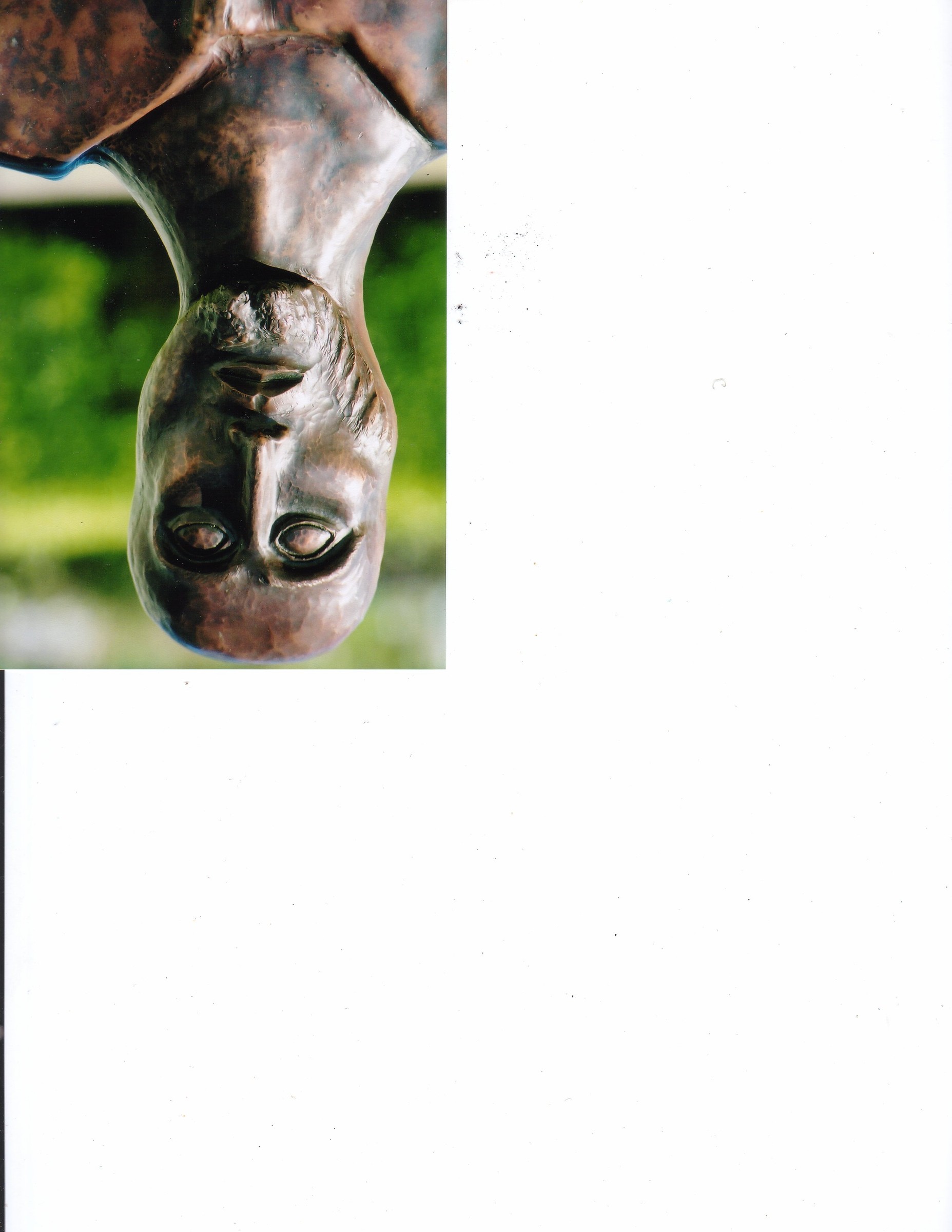 image1 2.jpg