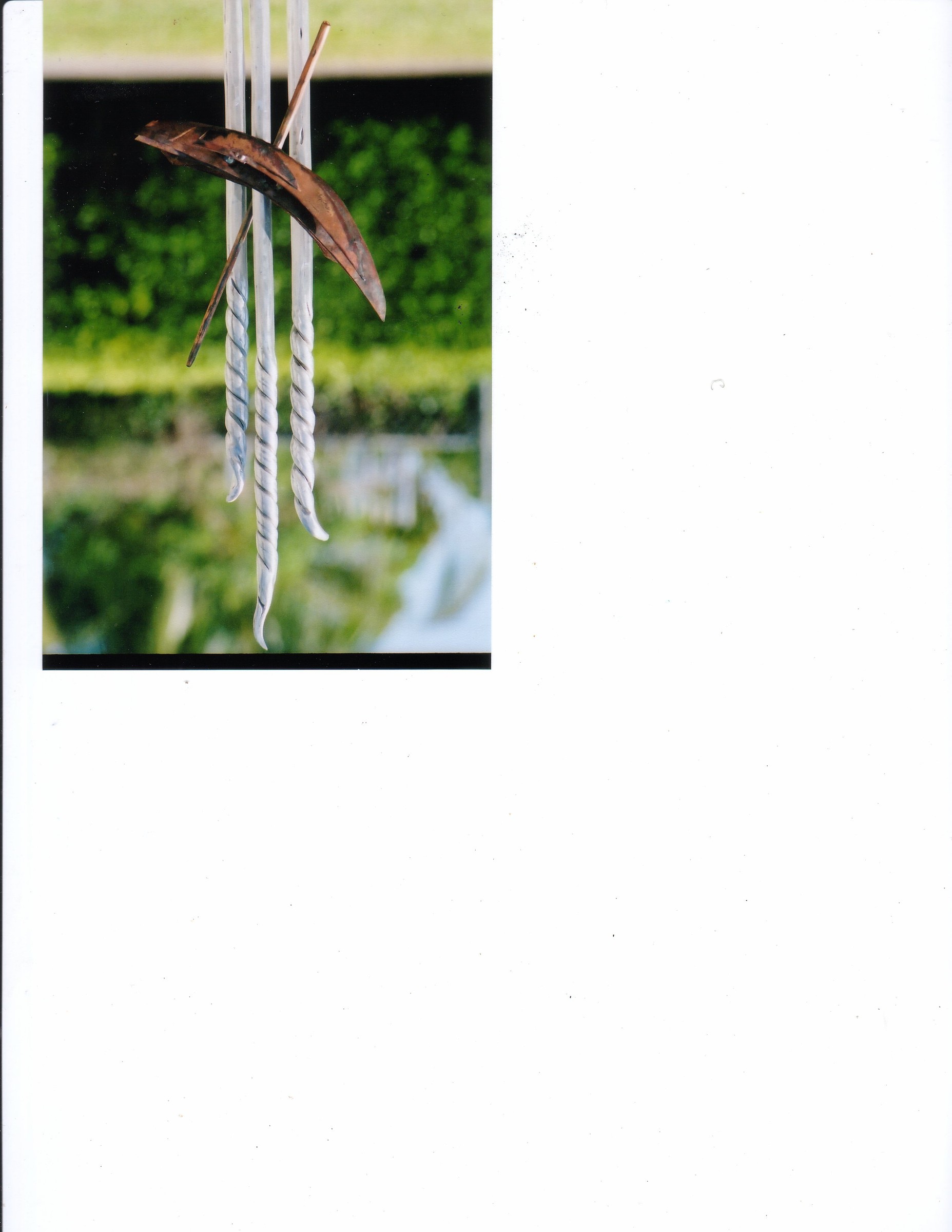 image3 2.jpg