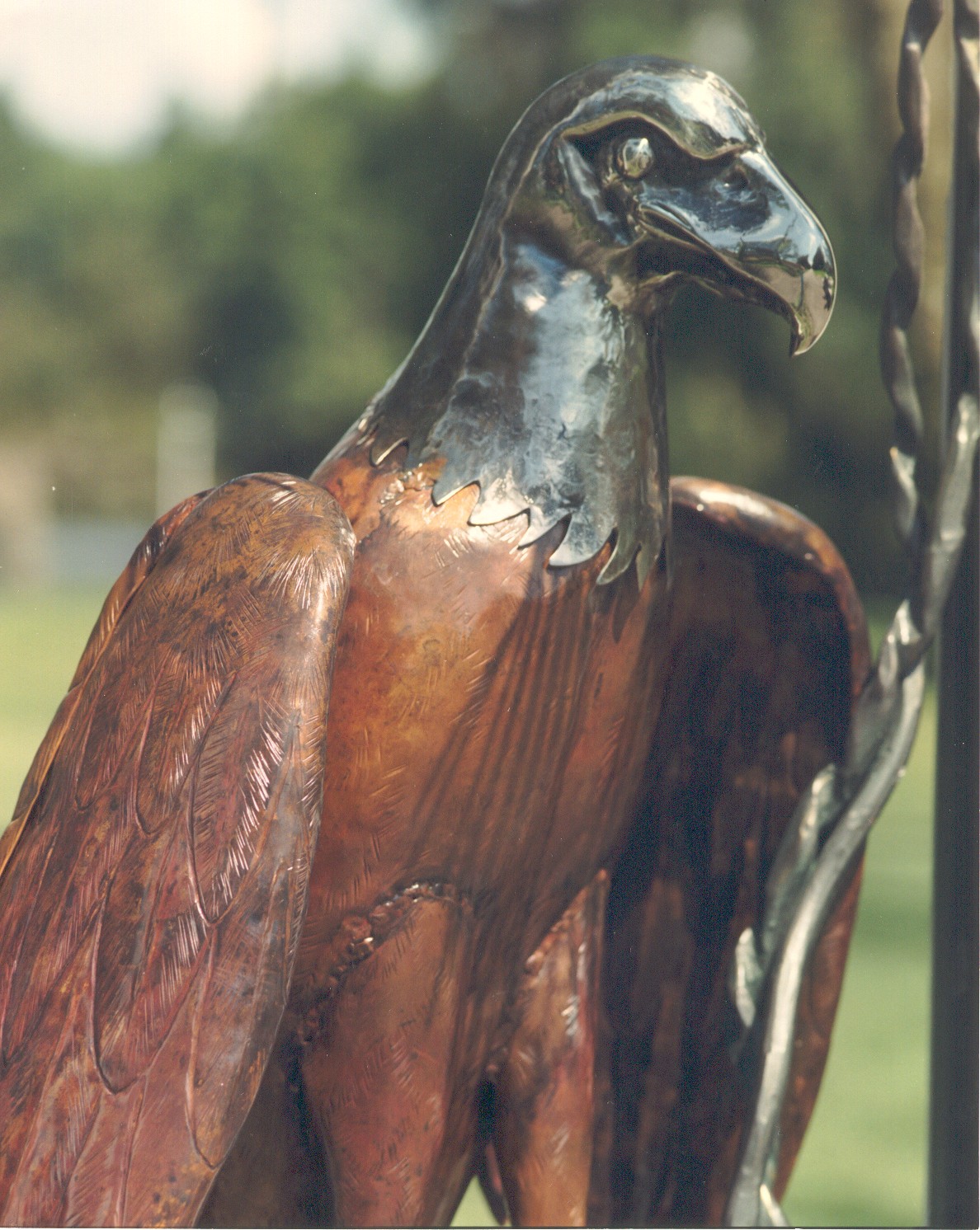 eagle_big_150.bmp