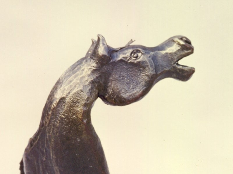 steelhorse800.jpg